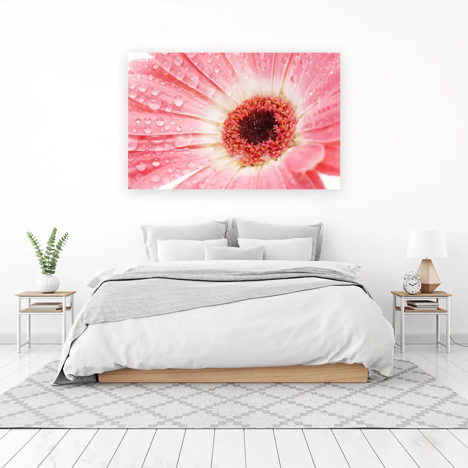 Dewy Pink Gerbera Daisy Close-Up Wall Art