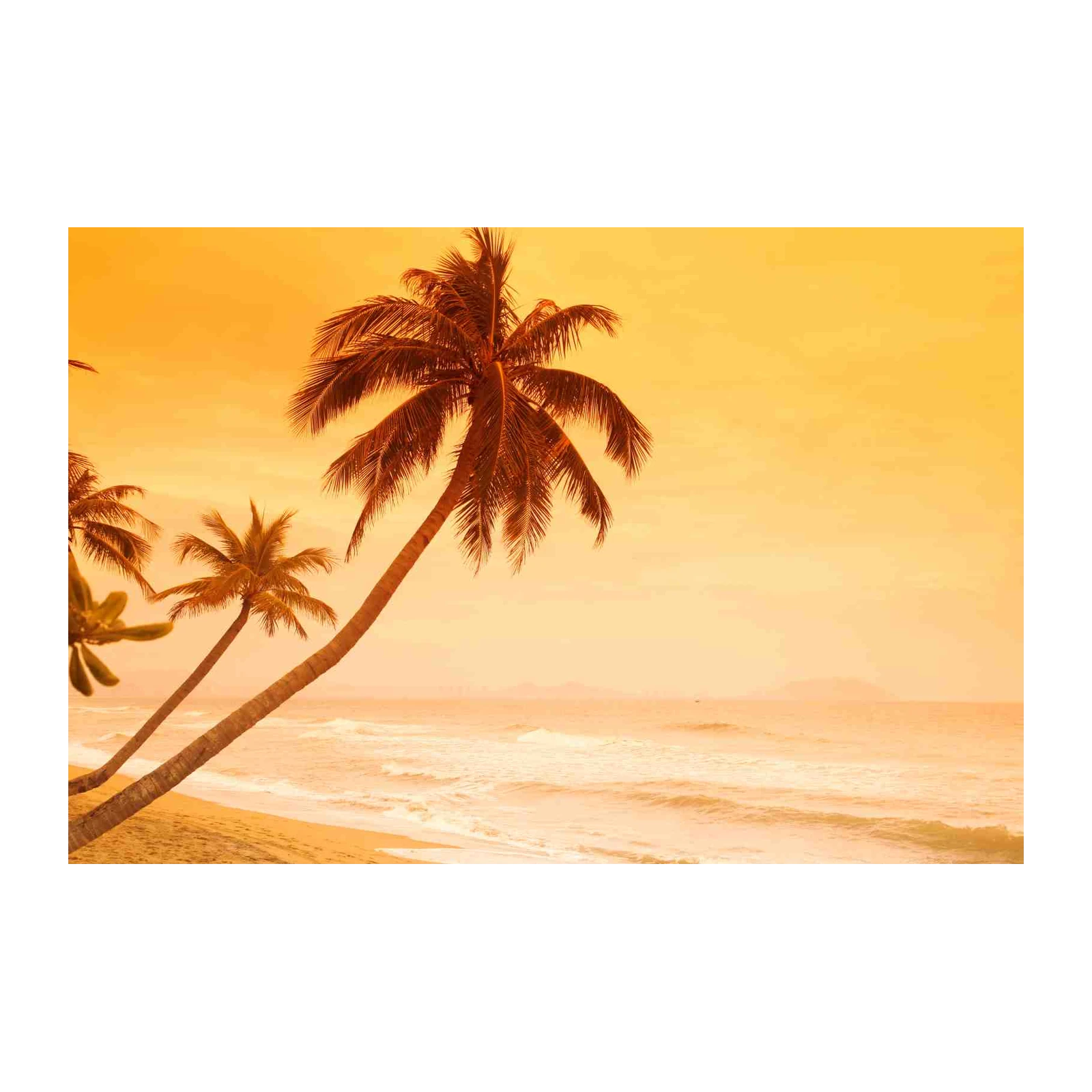 Serene Tropical Sunset Palm Tree Wall Art