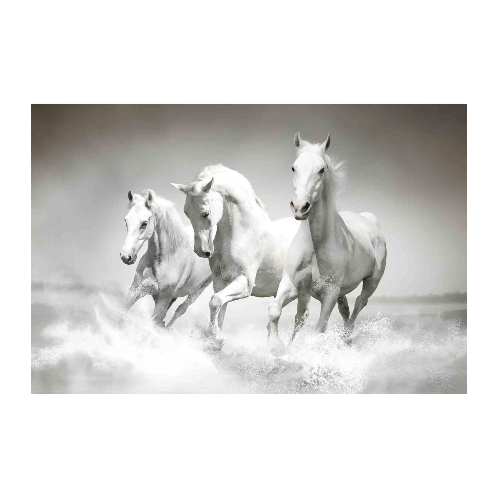 Majestic White Horses Galloping Through Water Wall Art