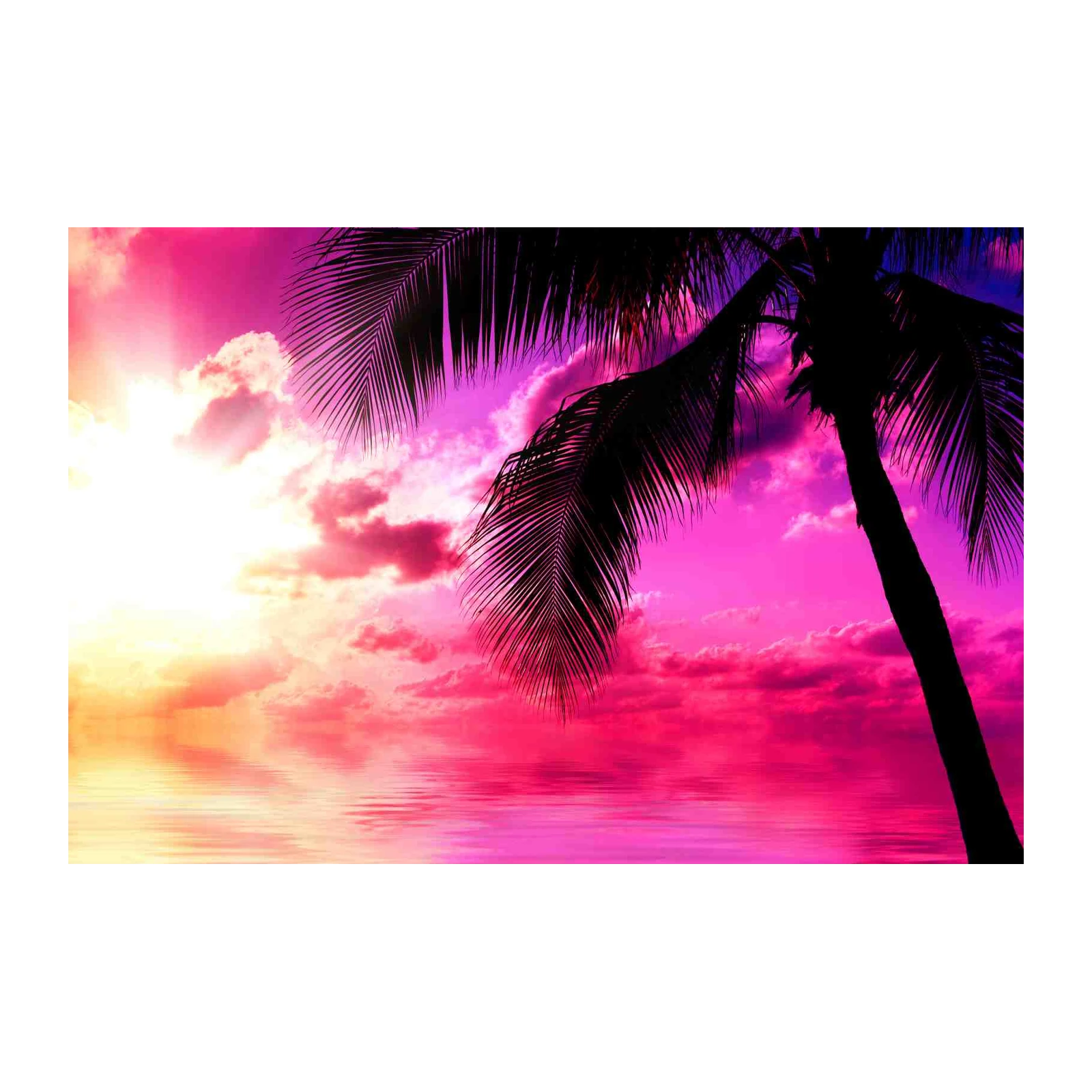 Vibrant Tropical Sunset Palm Tree Wall Art