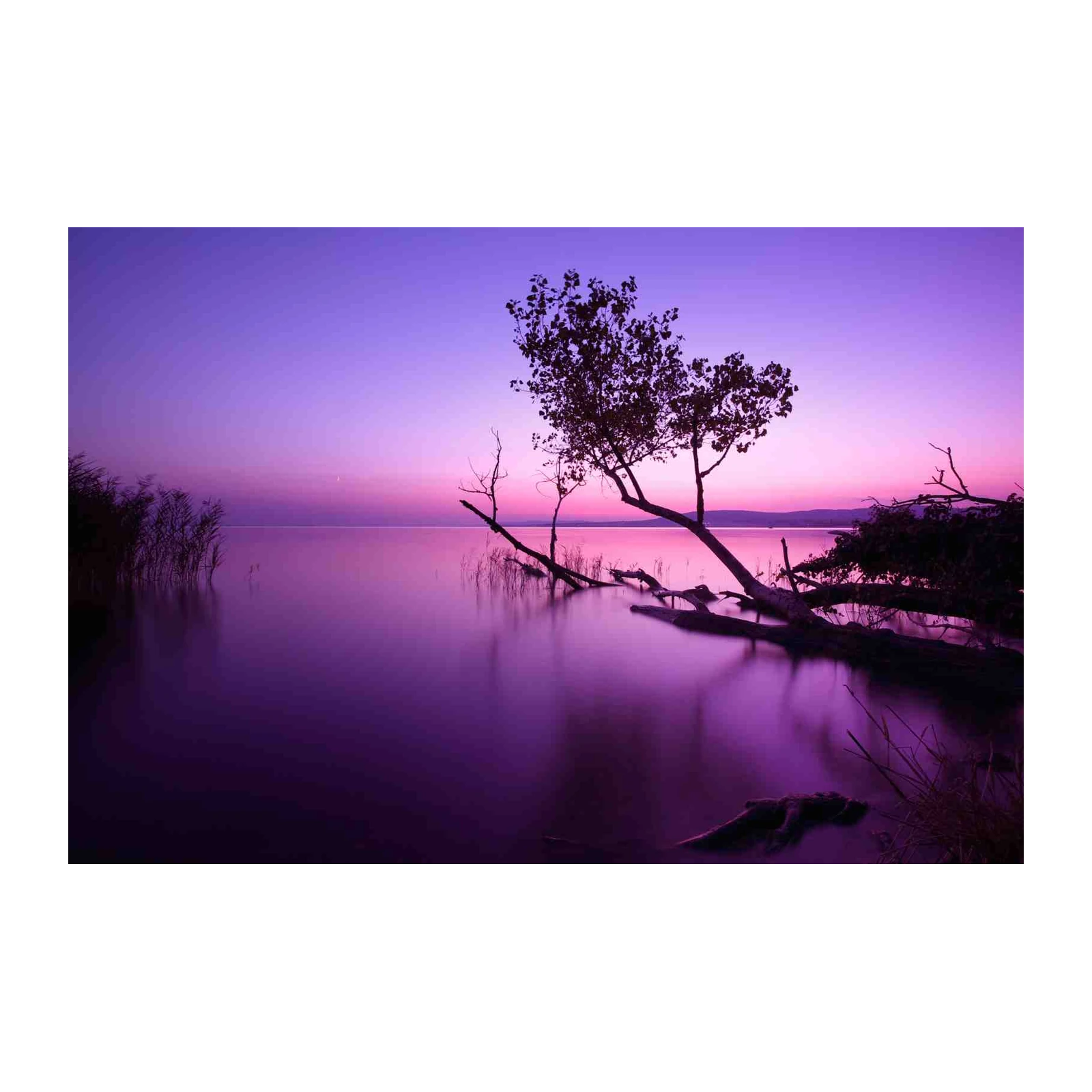 Serene Purple Sunset Lake Tree Wall Art