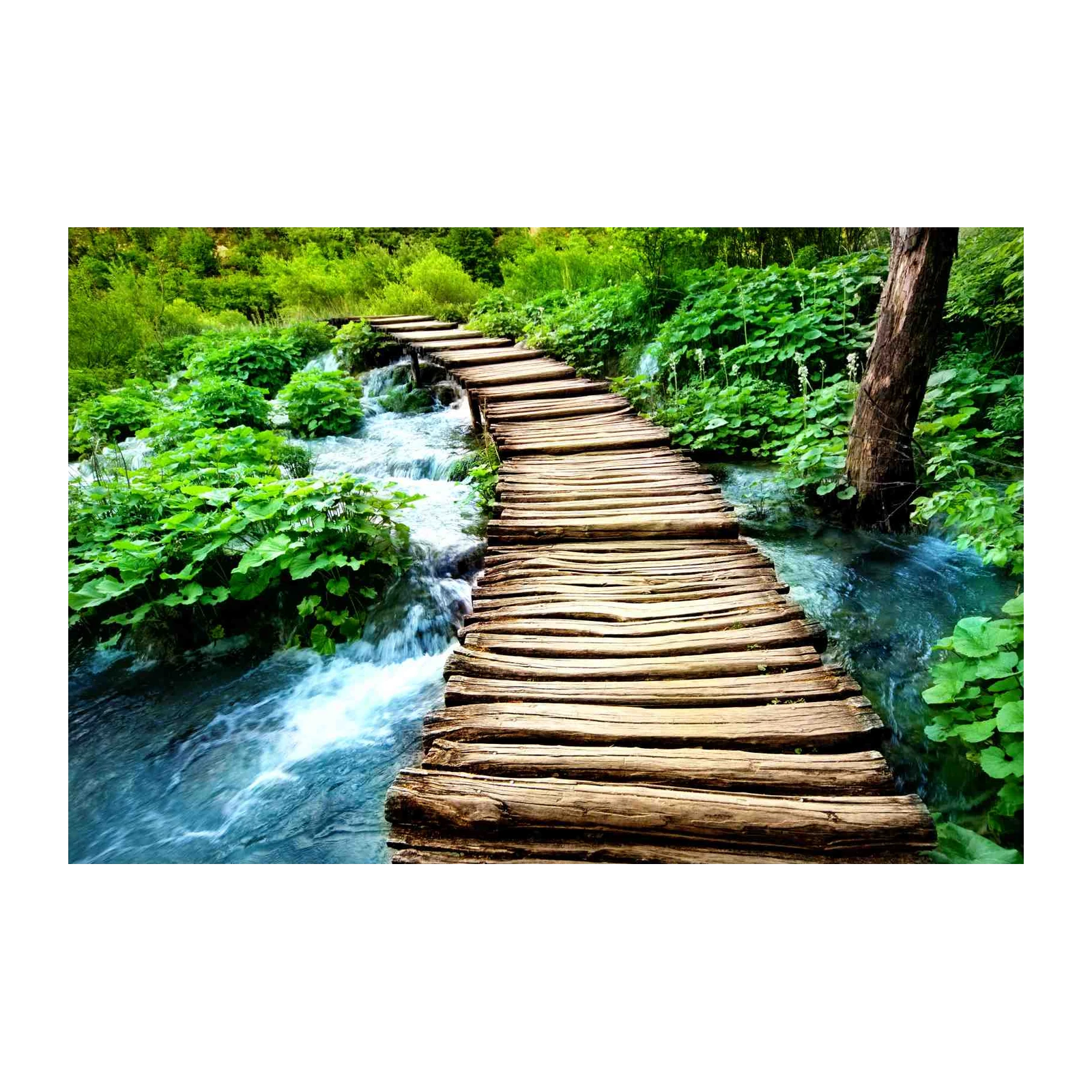 Serene Forest Walk Wooden Bridge Wall Art