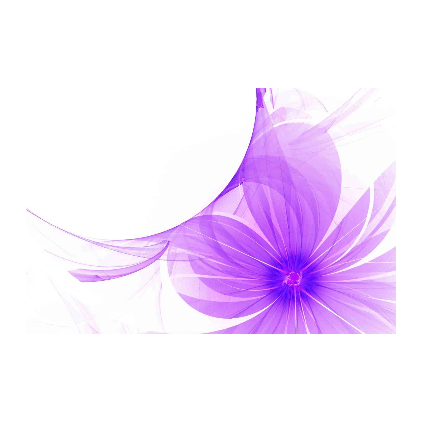 Abstract Purple Orchid Wall Art