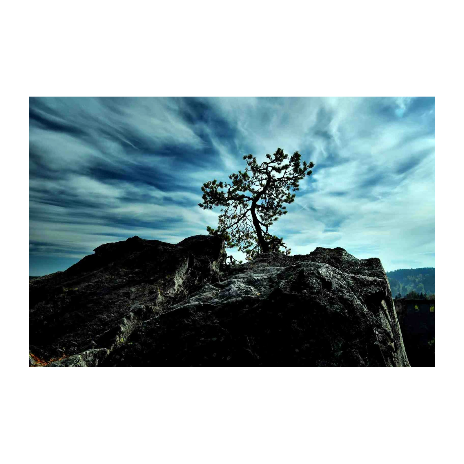 Dramatic Lone Tree Rocky Vista Wall Art