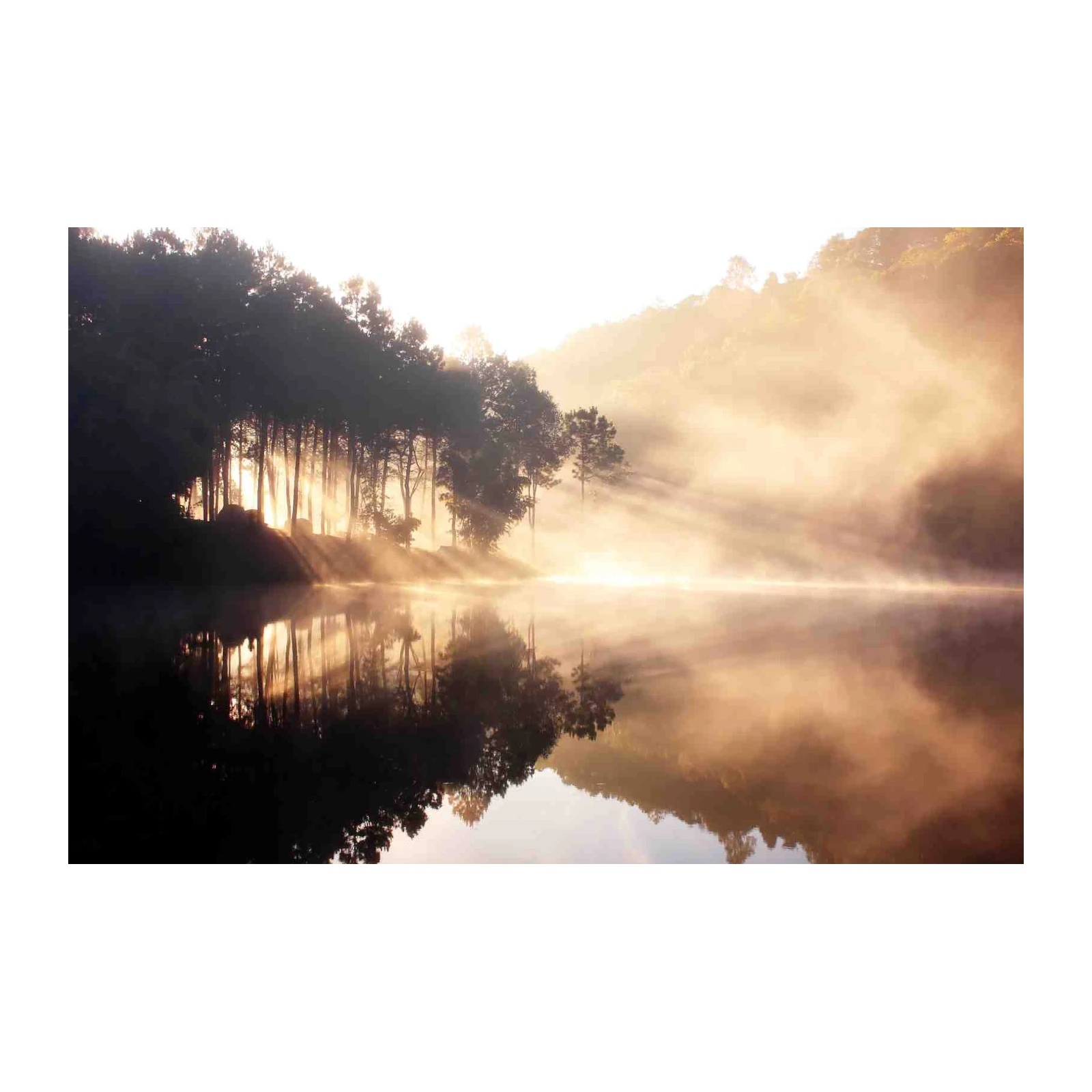 Misty Morning Lake Landscape Wall Art