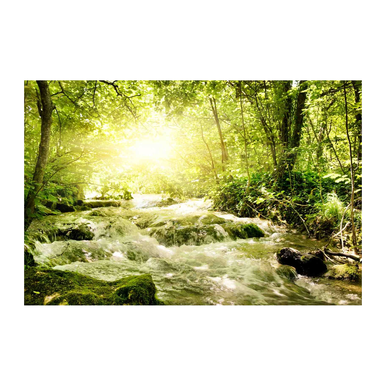Serene Forest Waterfall Wall Art