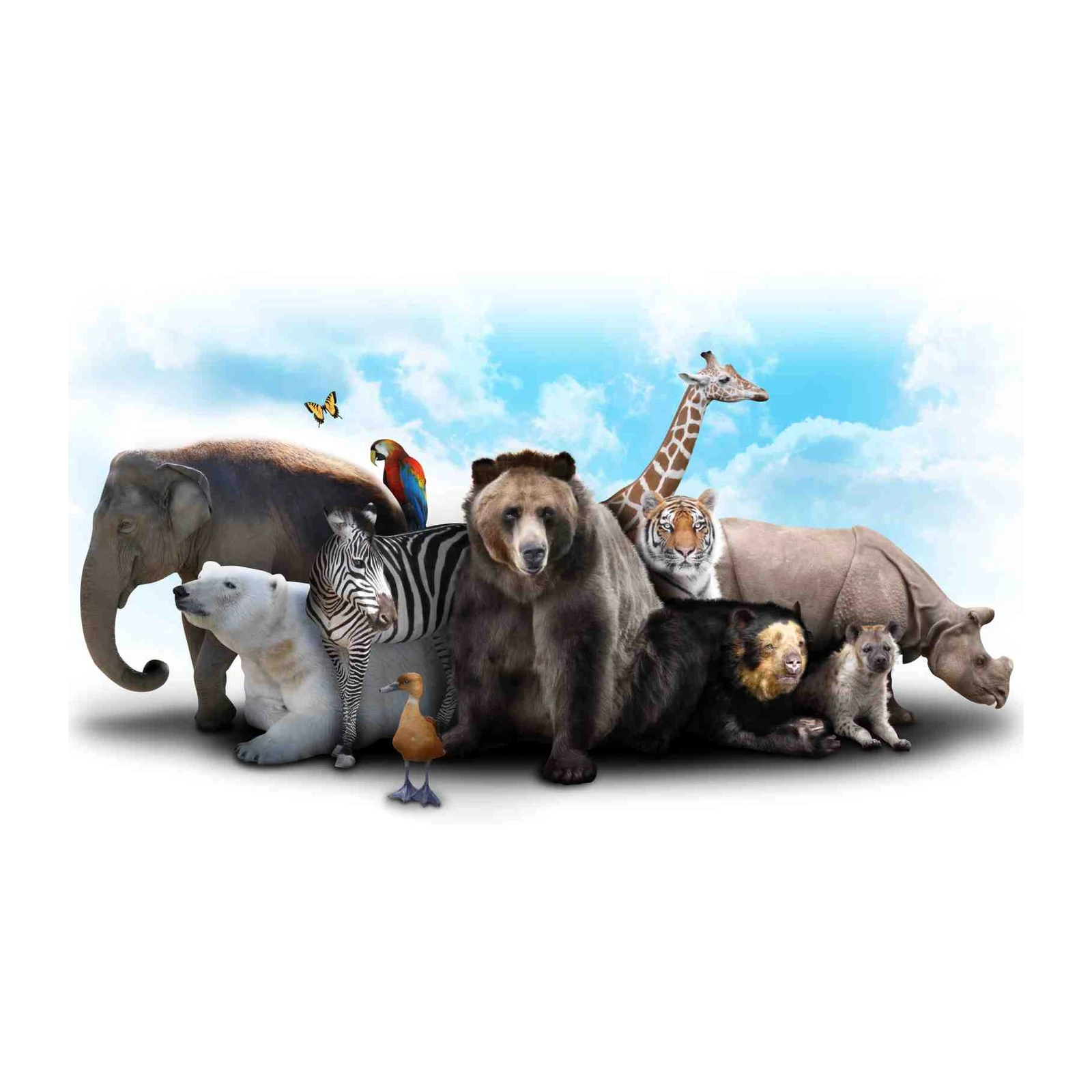 Majestic Wildlife Gathering Wall Art