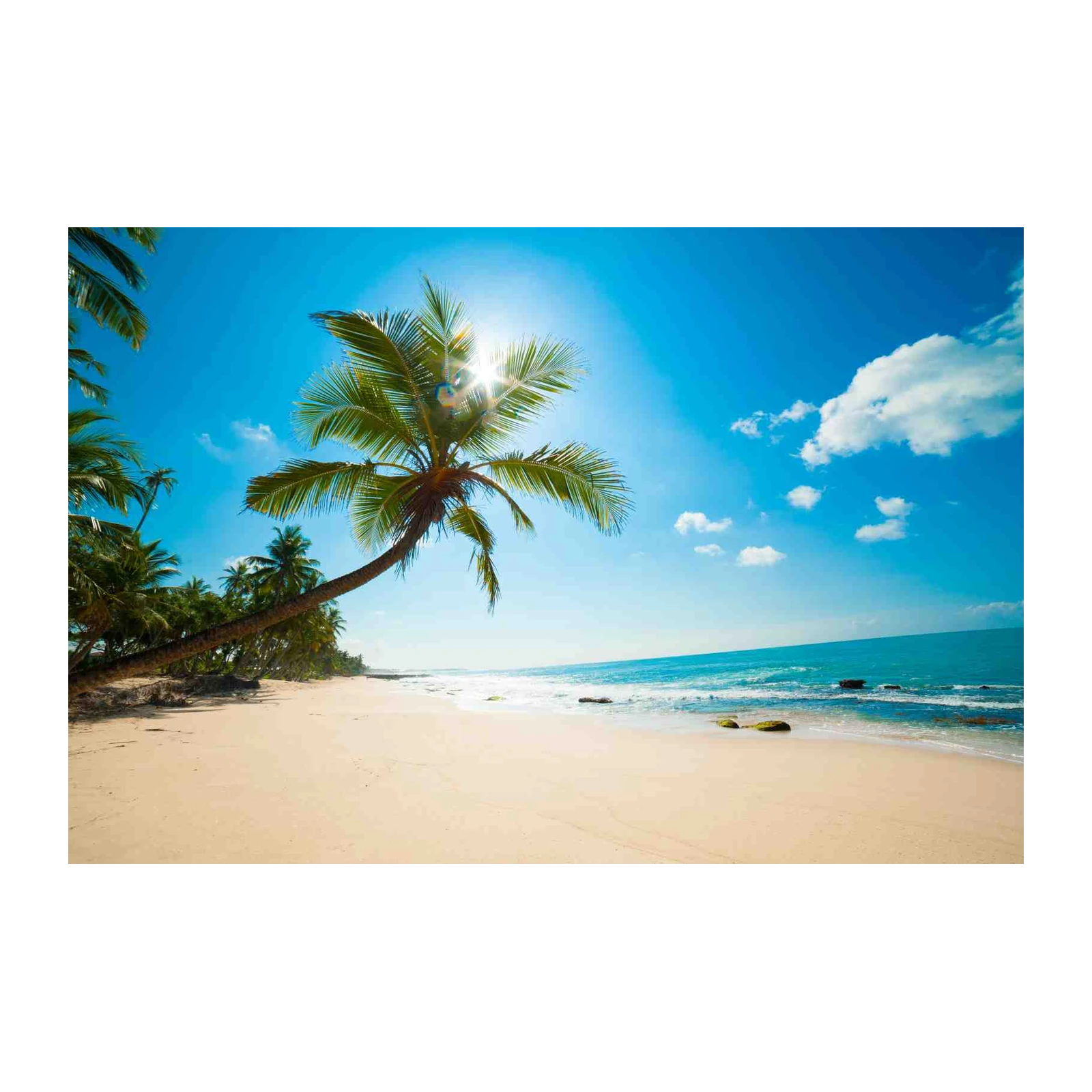 Tropical Paradise Palm Beach Wall Art