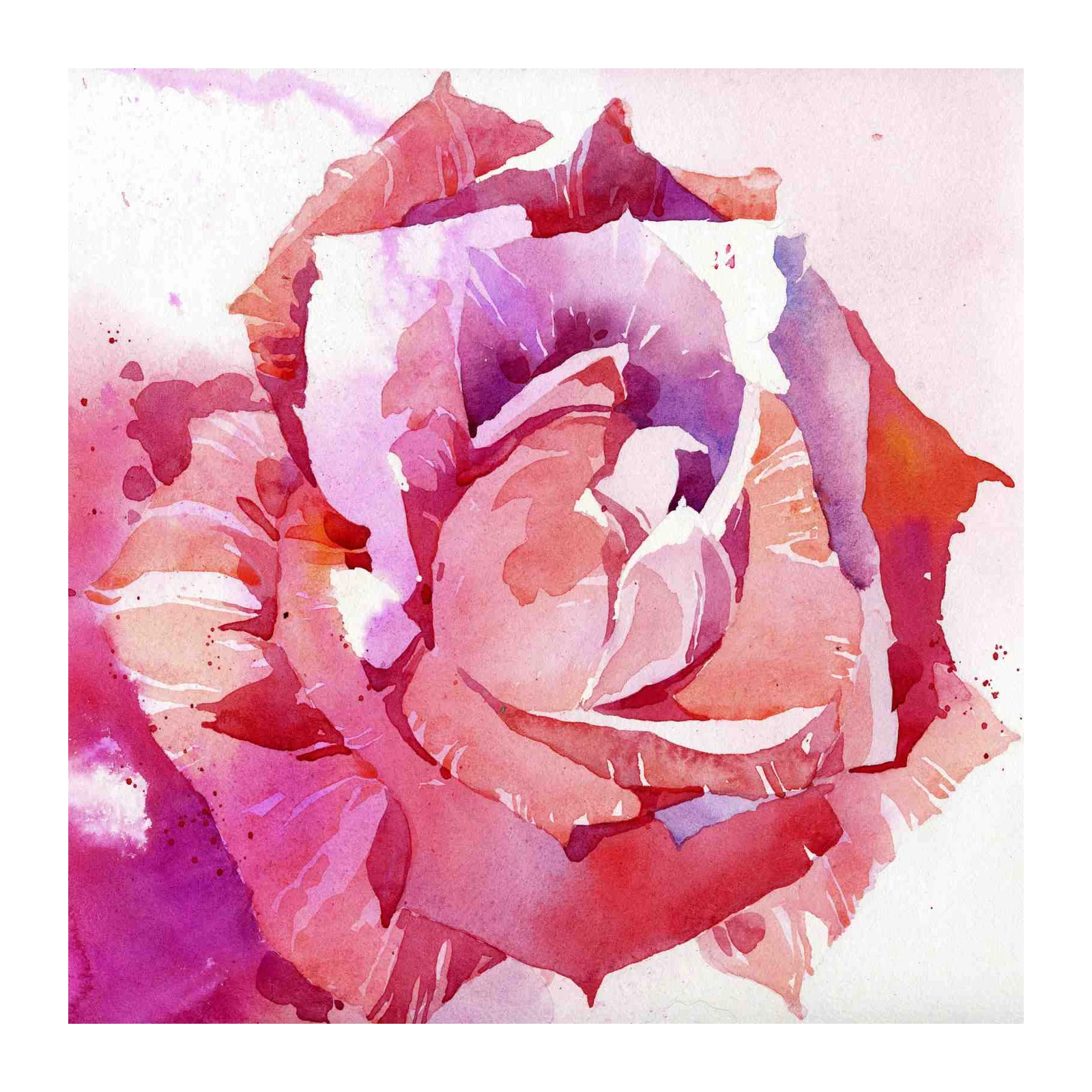 Vibrant Rose Watercolor Wall Art