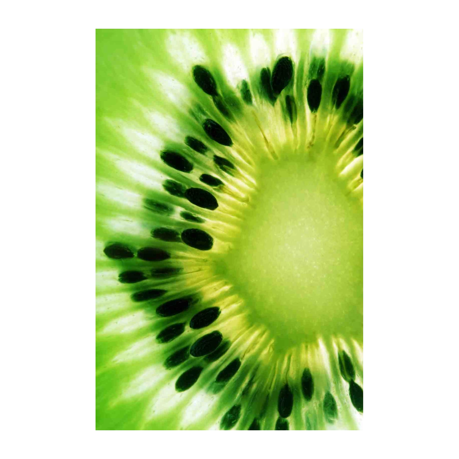 Vibrant Green Kiwi Slice Wall Art