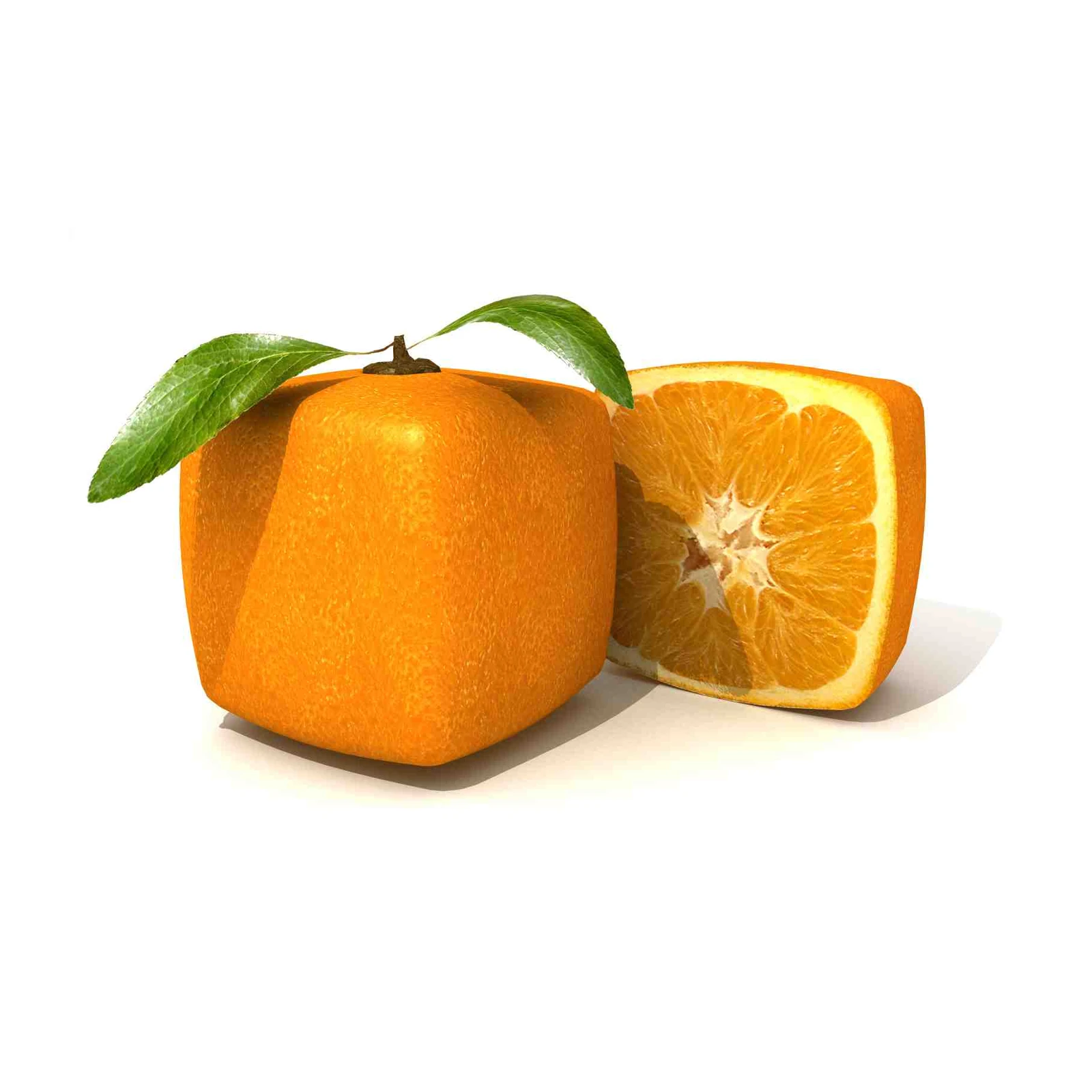 Modern Abstract Orange & Slice Wall Art