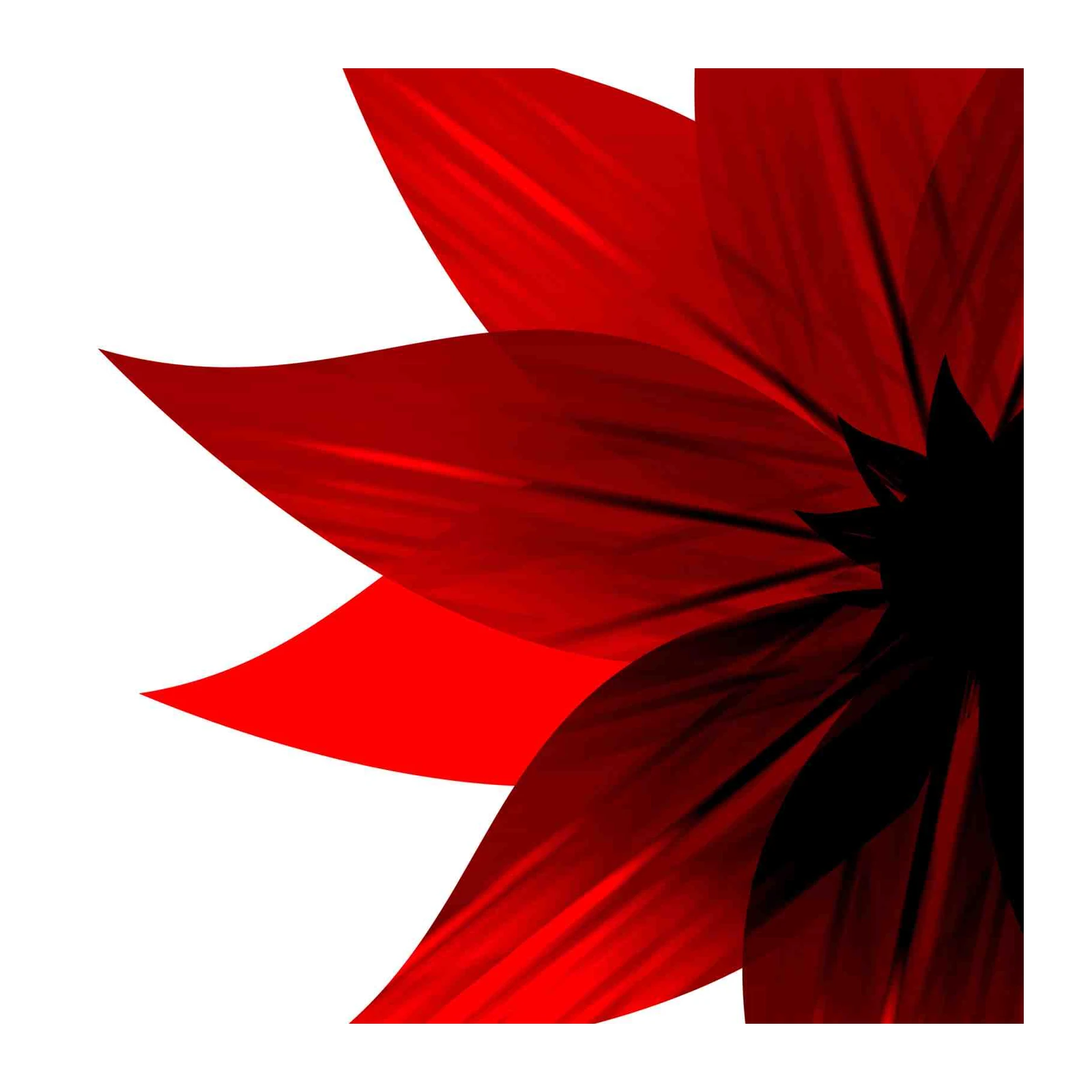 Bold Red Floral Petal Abstract Wall Art