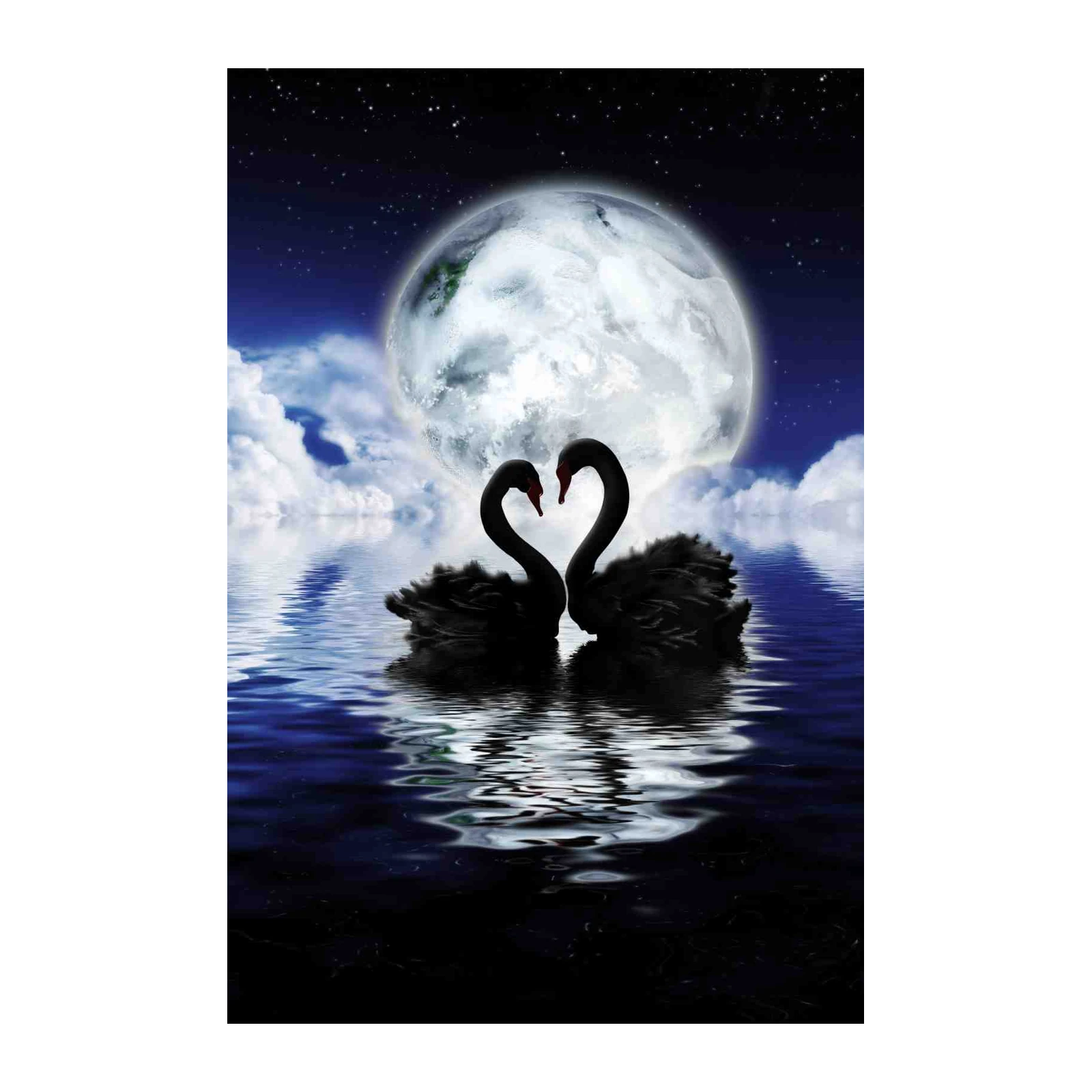Enchanting Swans Love Heart Night Sky Wall Art