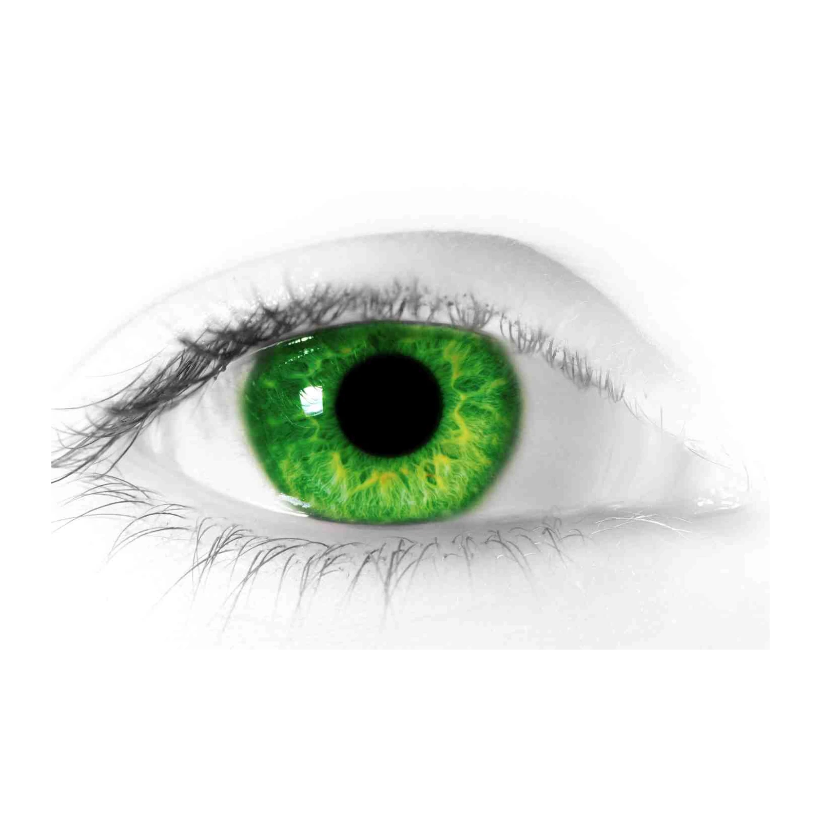 Vibrant Green Eye Macro Wall Art