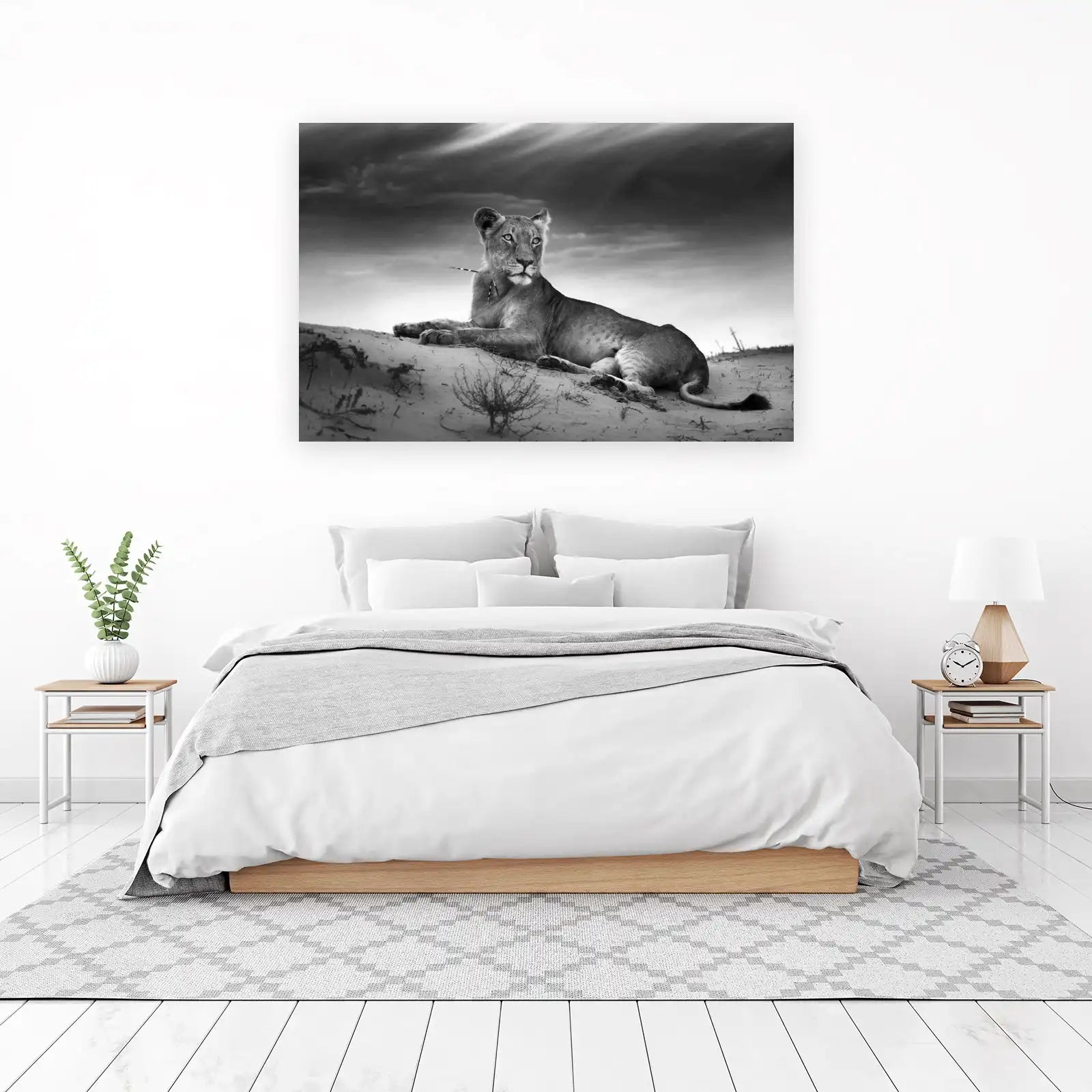 Majestic Lioness Serene Desert View Wall Art