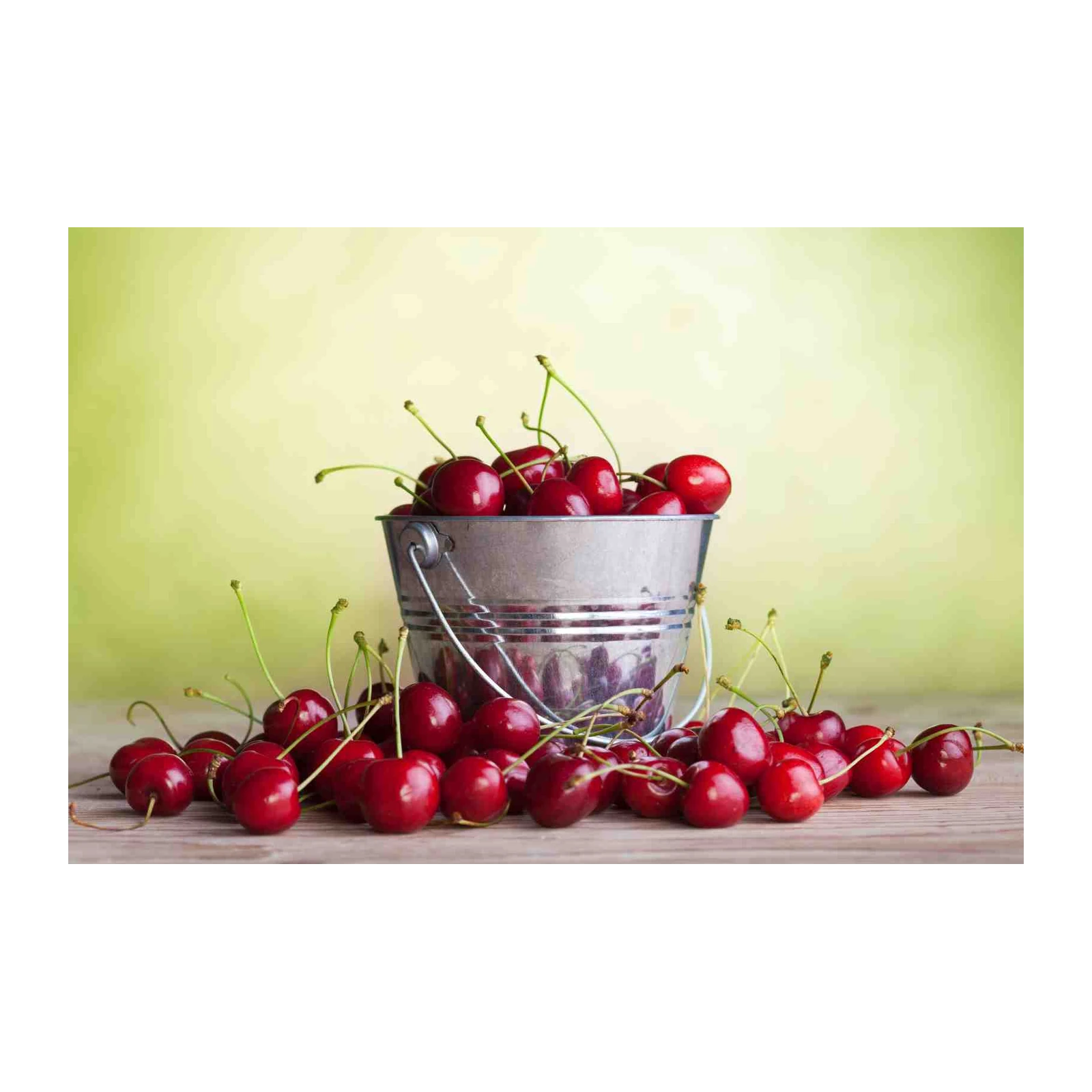 Fresh Red Cherries in Bucket Wall Art