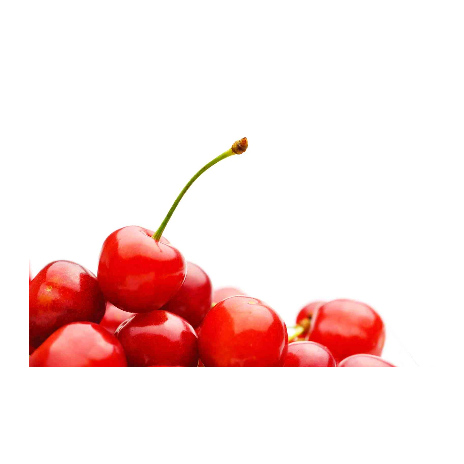 Vibrant Red Cherries Still Life Wall Art