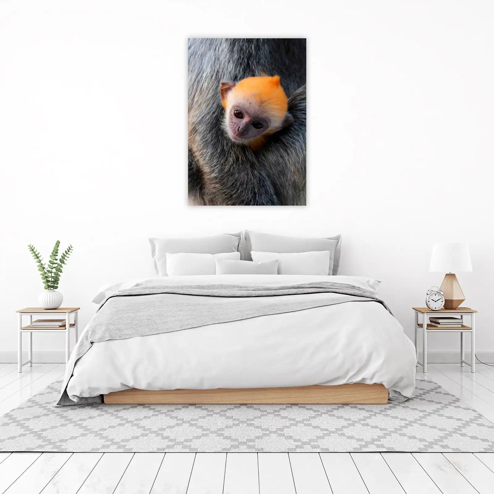 Adorable Baby Monkey Hug Wall Art
