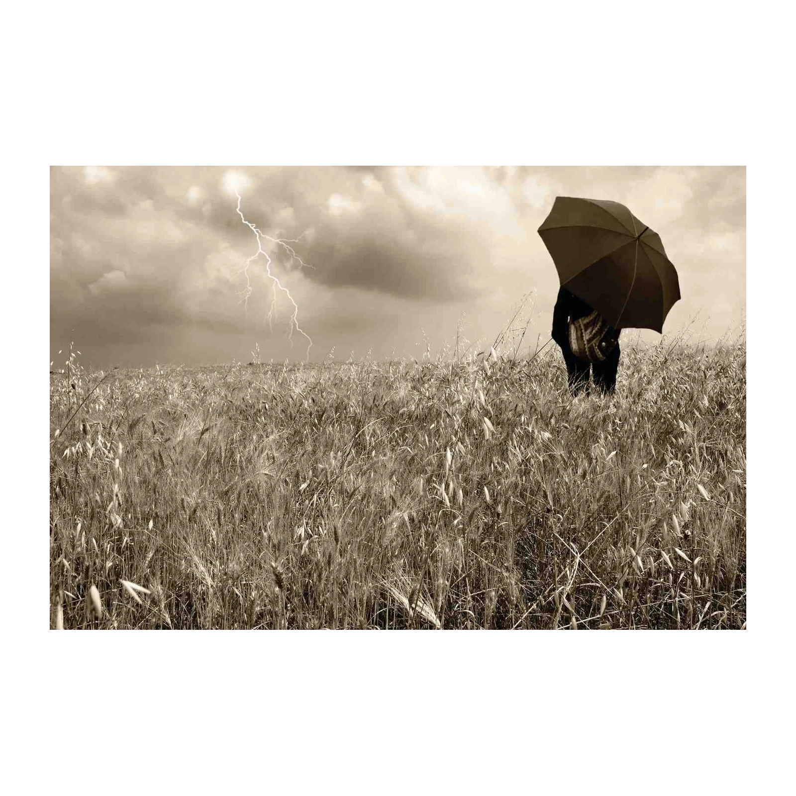 Stormy Field Solitude Vintage Wall Art