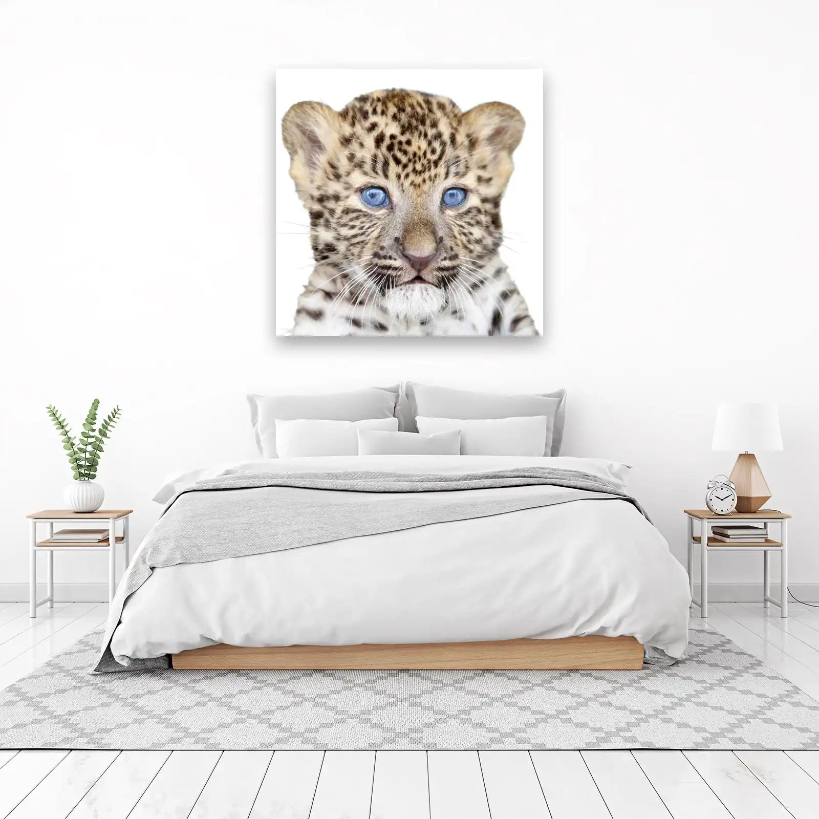 Adorable Leopard Cub Blue Eyes Wall Art