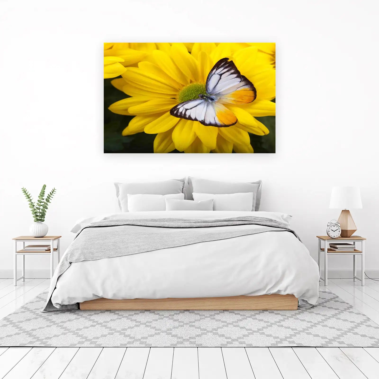 Yellow Daisy Butterfly Wall Art - Nature's Beauty