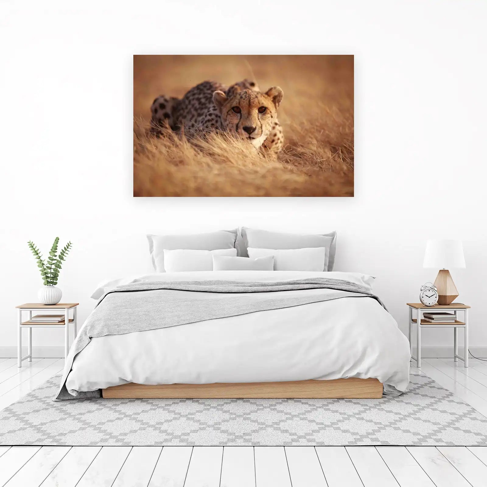 Majestic Cheetah in Golden Grass Wall Art