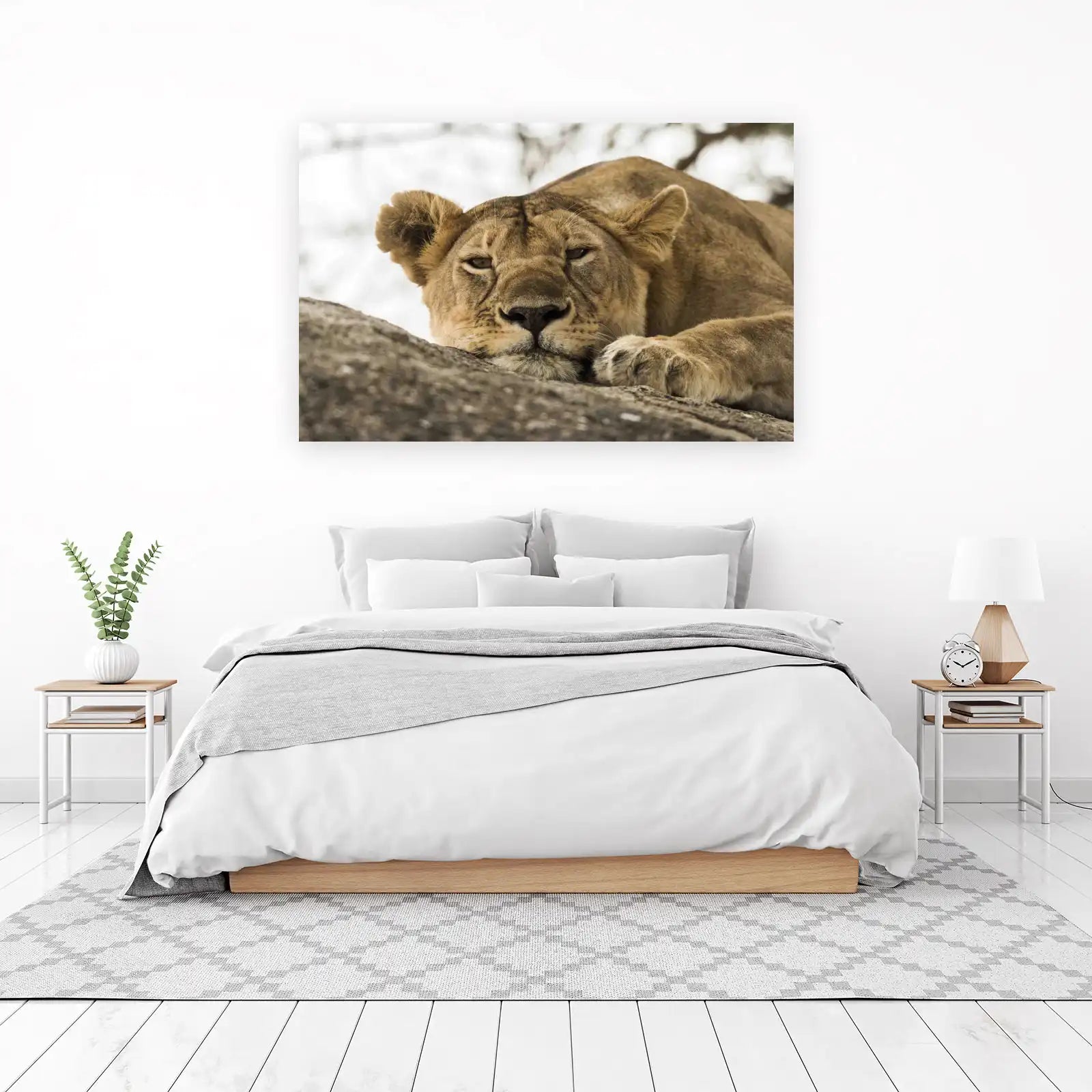 Majestic Lioness Portrait Wall Art