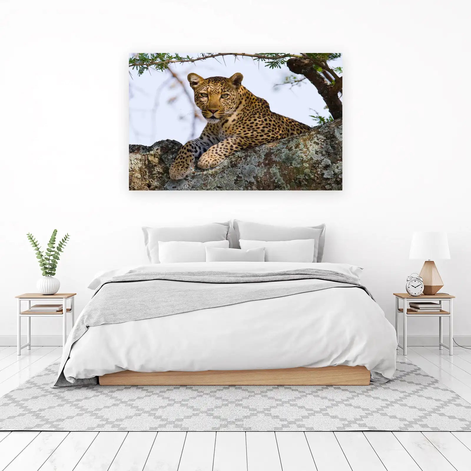Majestic Leopard in Tree Wall Art