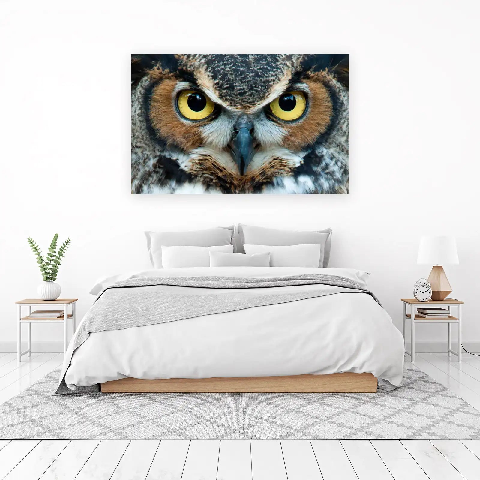 Majestic Owl Eyes Wildlife Wall Art
