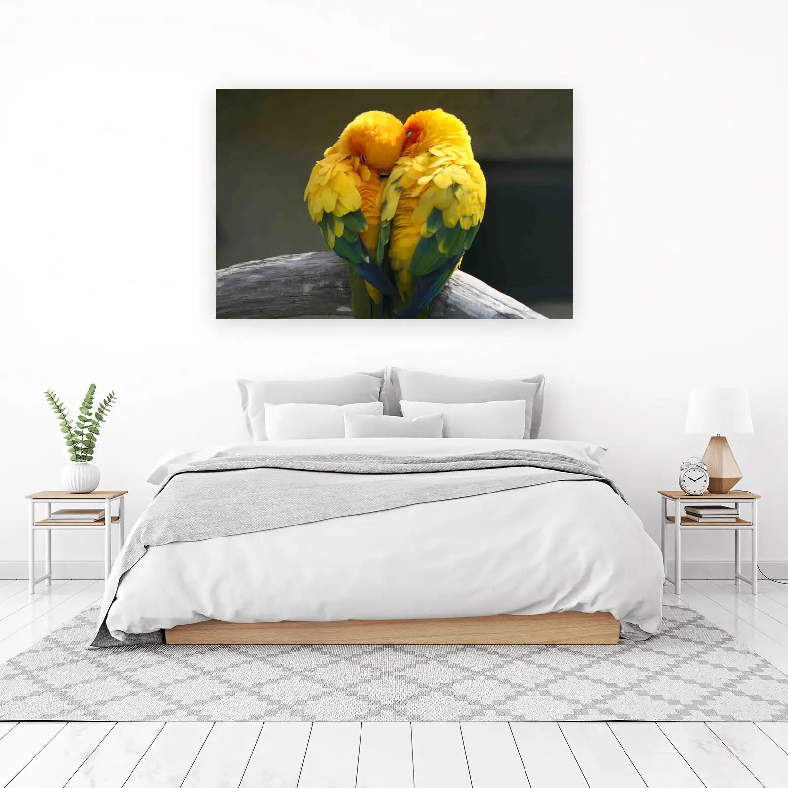 Sun Conures Embrace Wall Art