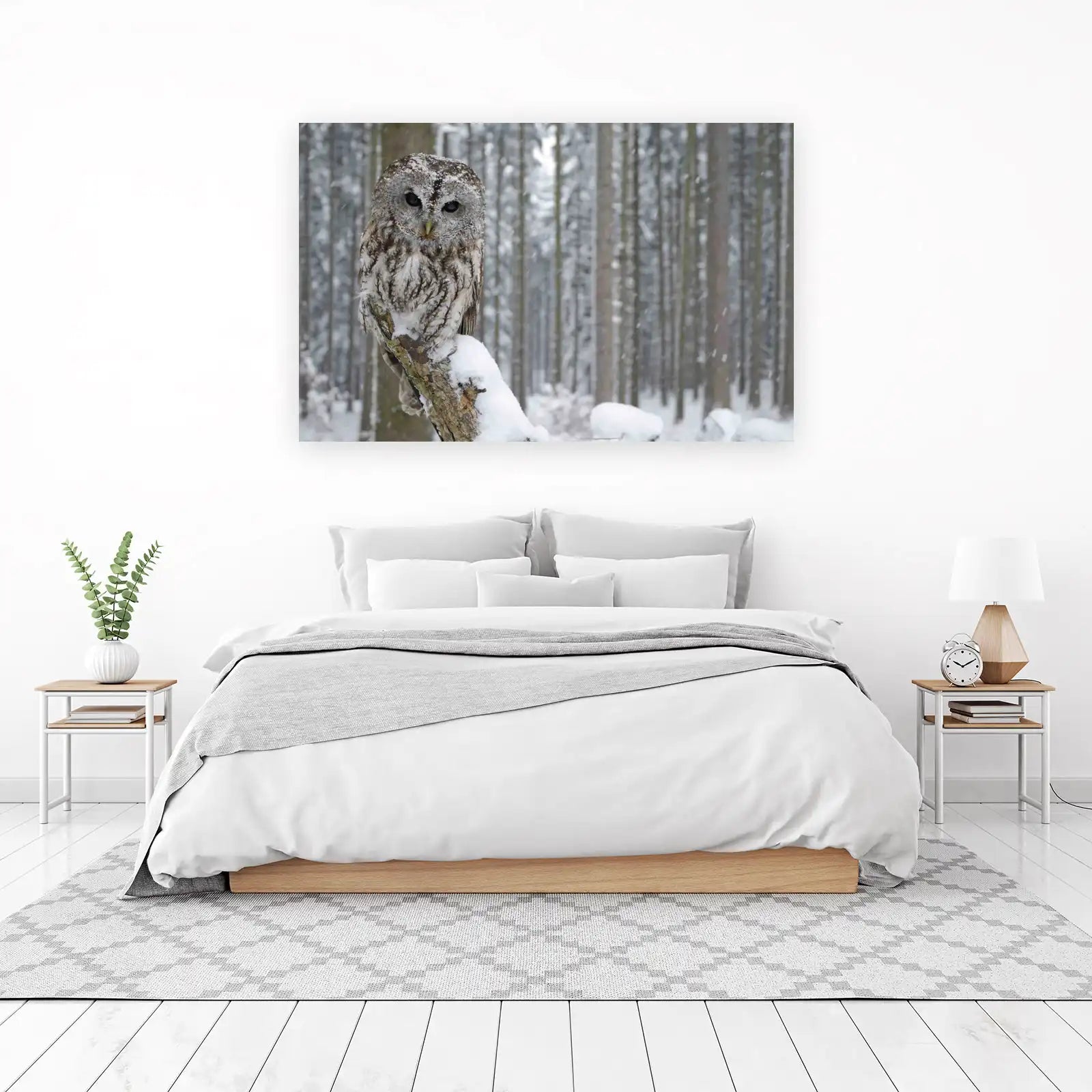 Snowy Forest Owl Wisdom Wall Art