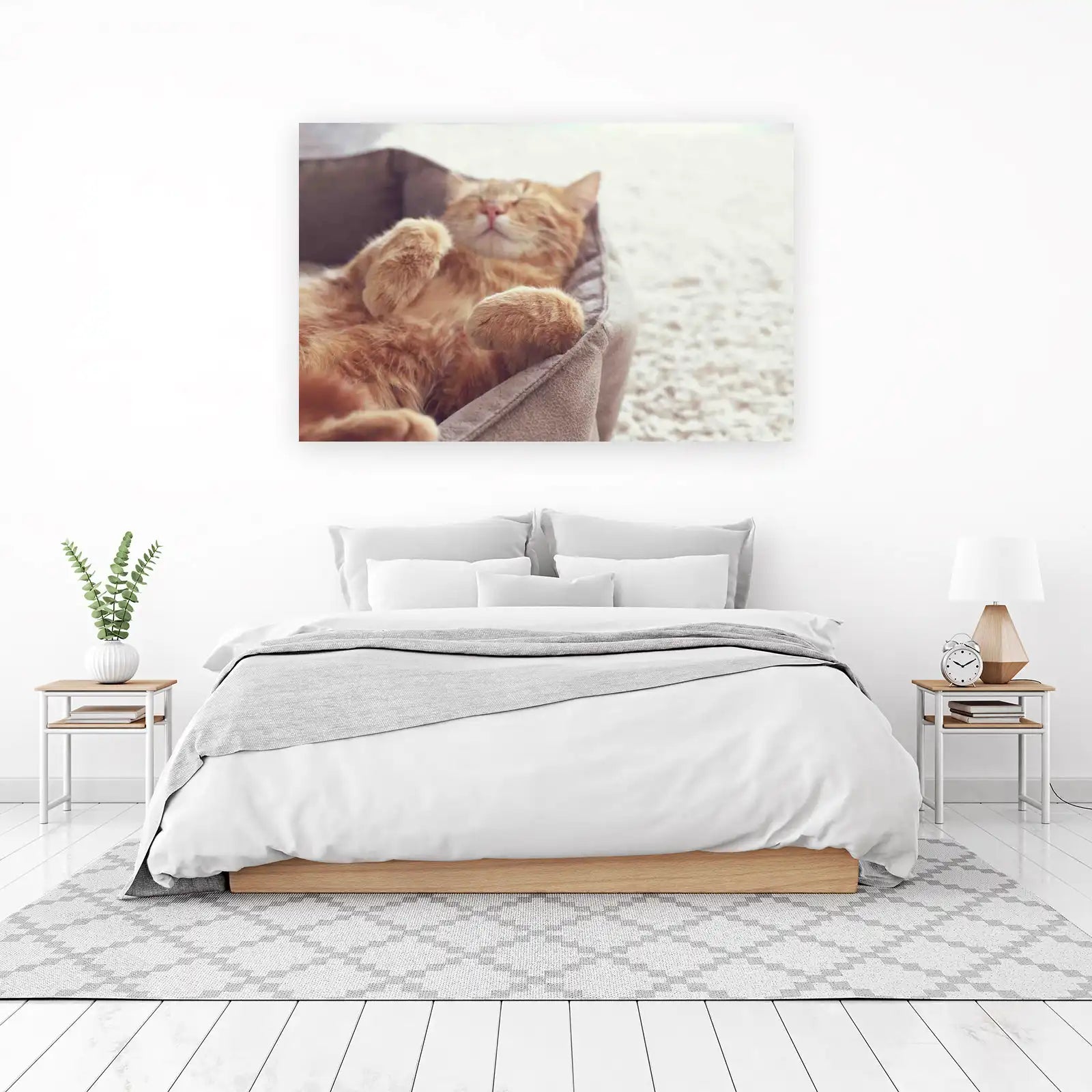 Cozy Orange Cat Nap Wall Art