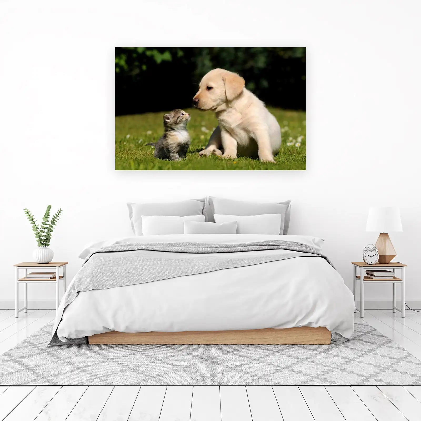Adorable Puppy & Kitten Friendship Wall Art