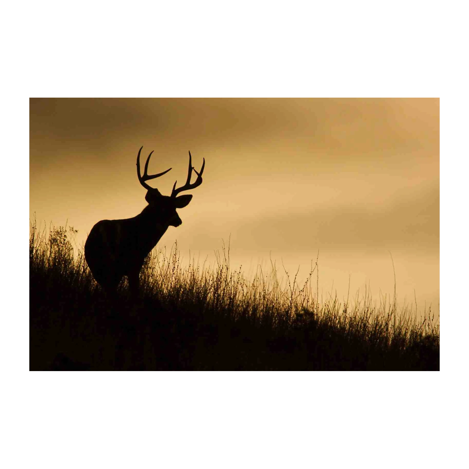 Majestic Buck Silhouette Wall Art - Wildlife Decor