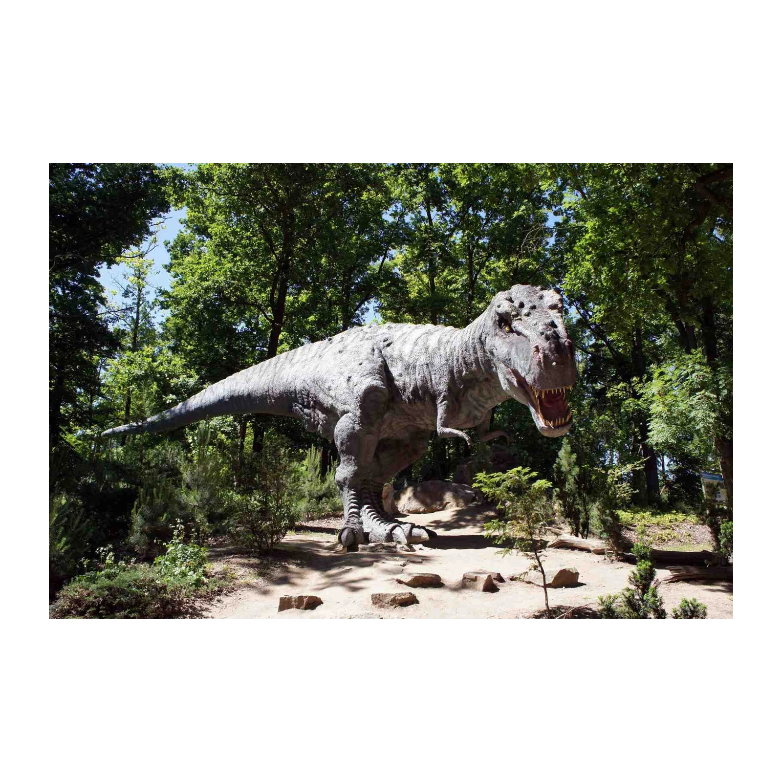 Roaring T-Rex Jungle Adventure Wall Art