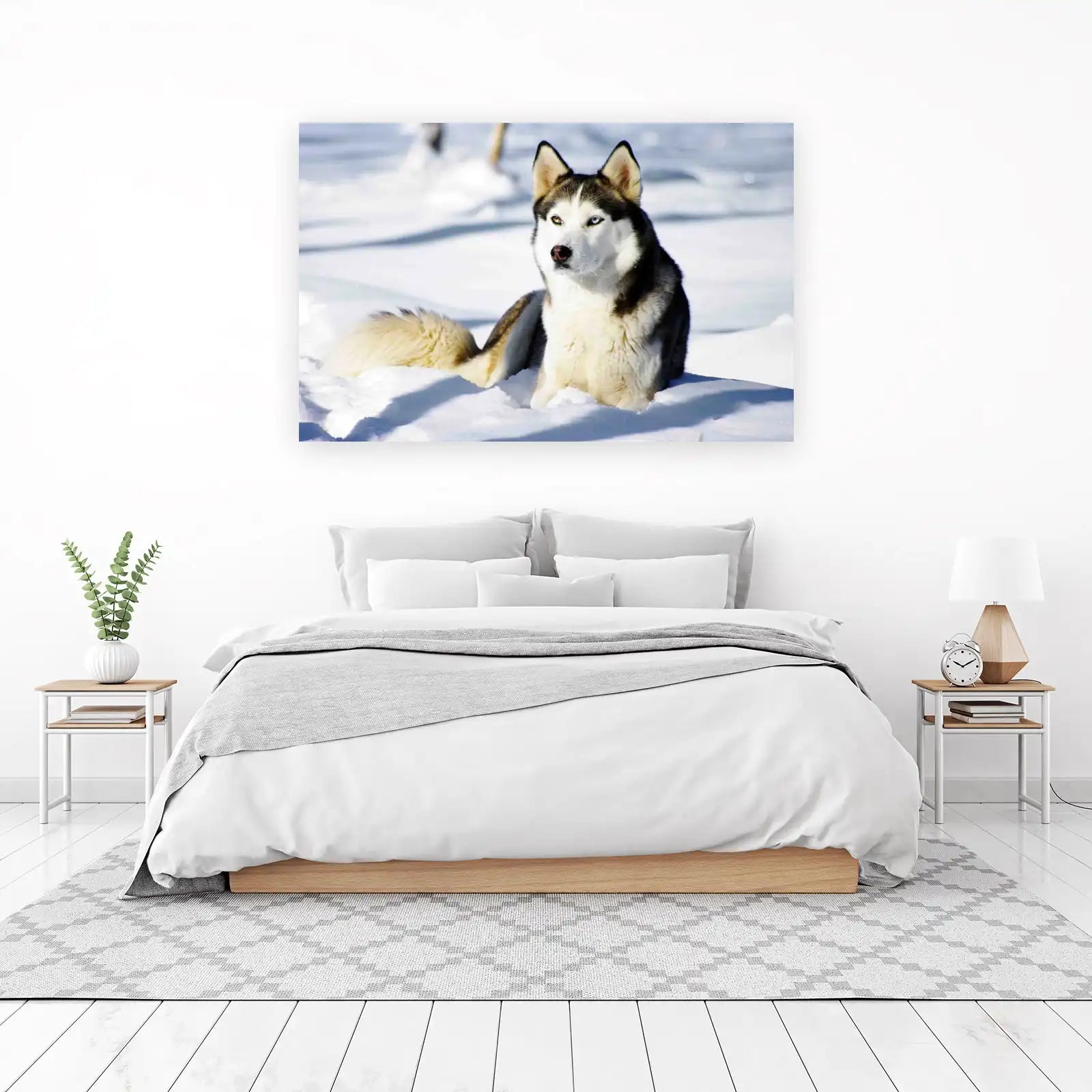 Majestic Husky in Snow Wall Art