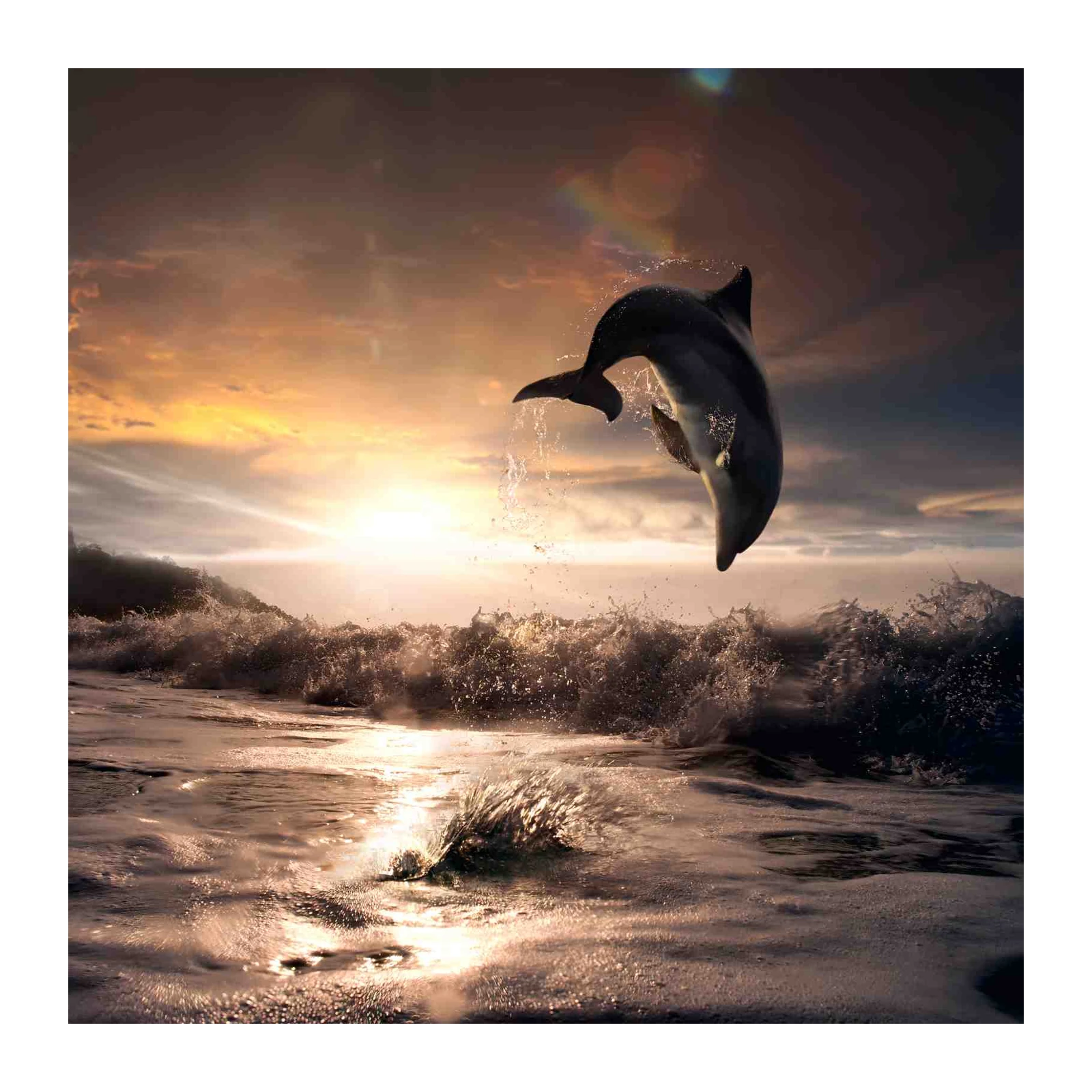 Dolphin Leap Sunset Ocean Wall Art