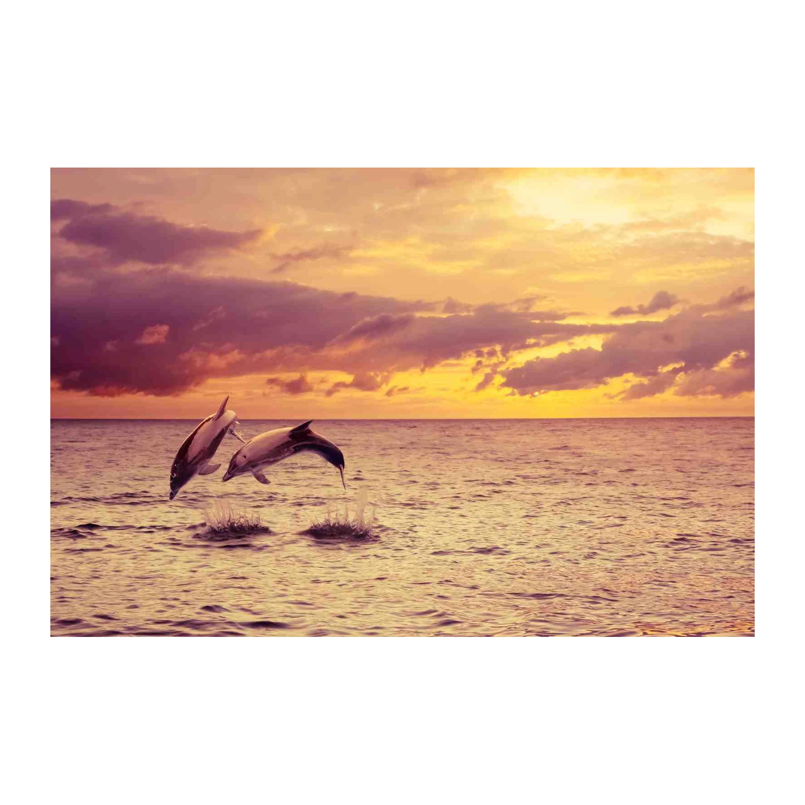 Dolphins Leaping at Sunset Wall Art