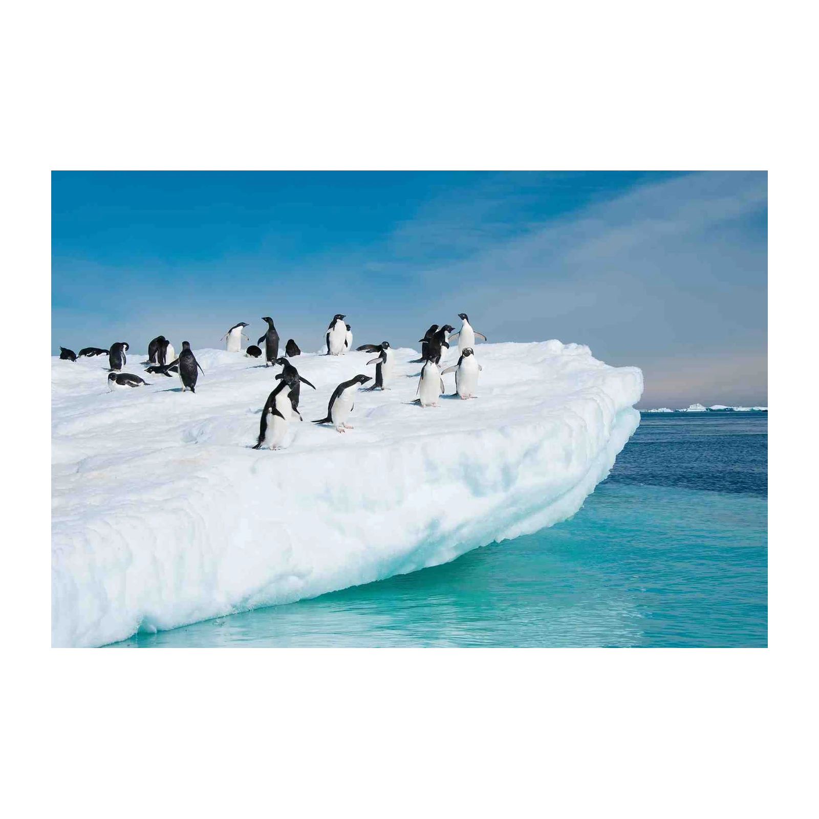 Antarctic Penguins on Iceberg Wall Art