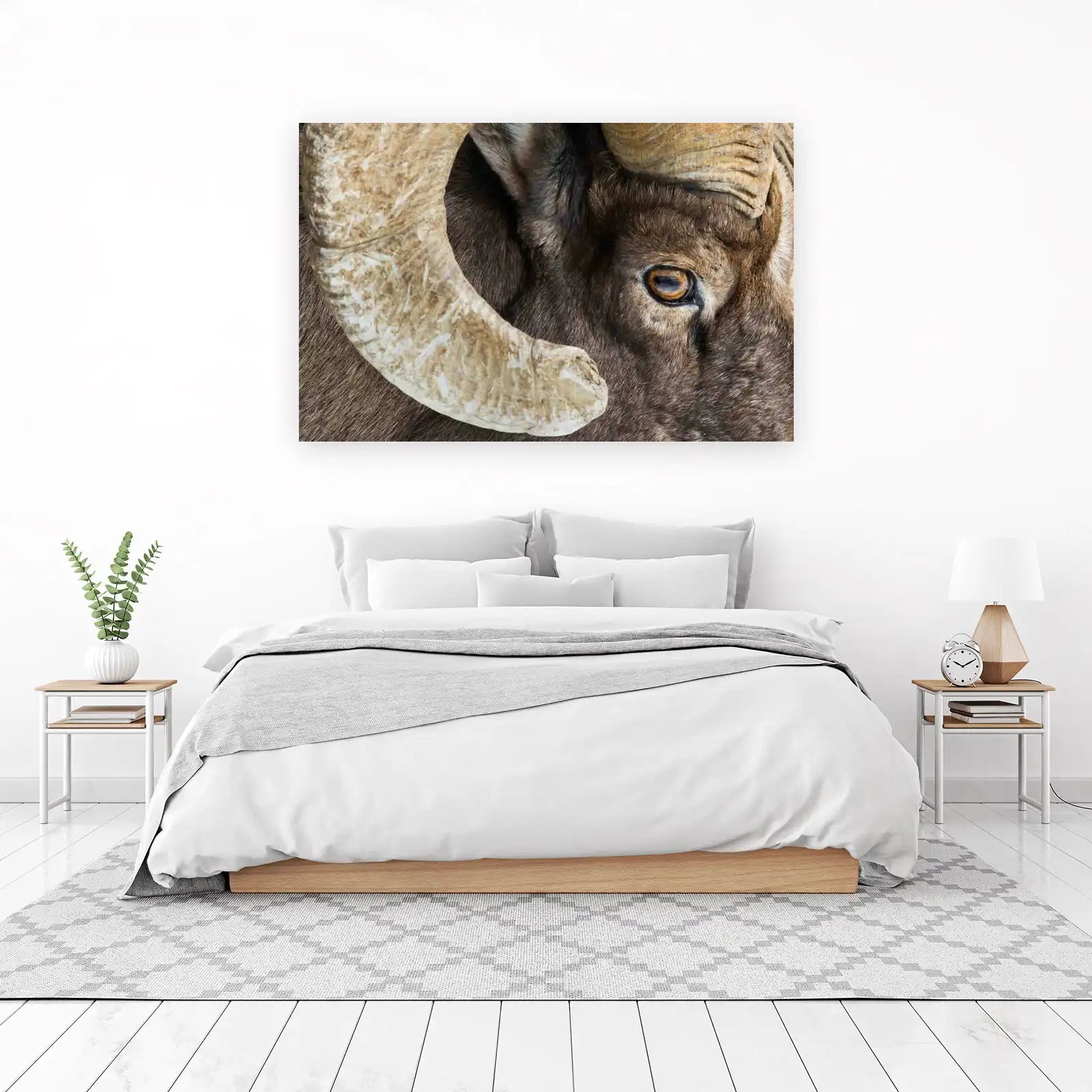 Majestic Ram Horns Wildlife Wall Art