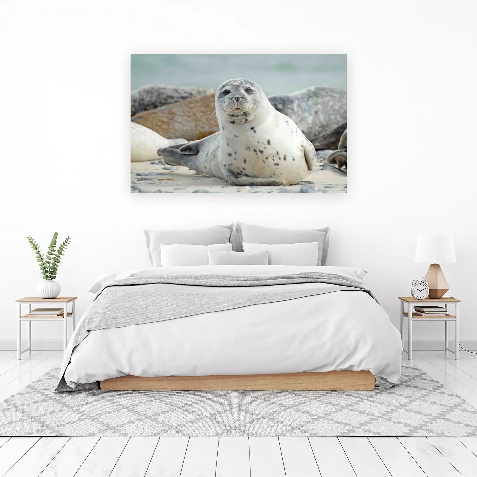Adorable Seal Beach Scene Wall Art