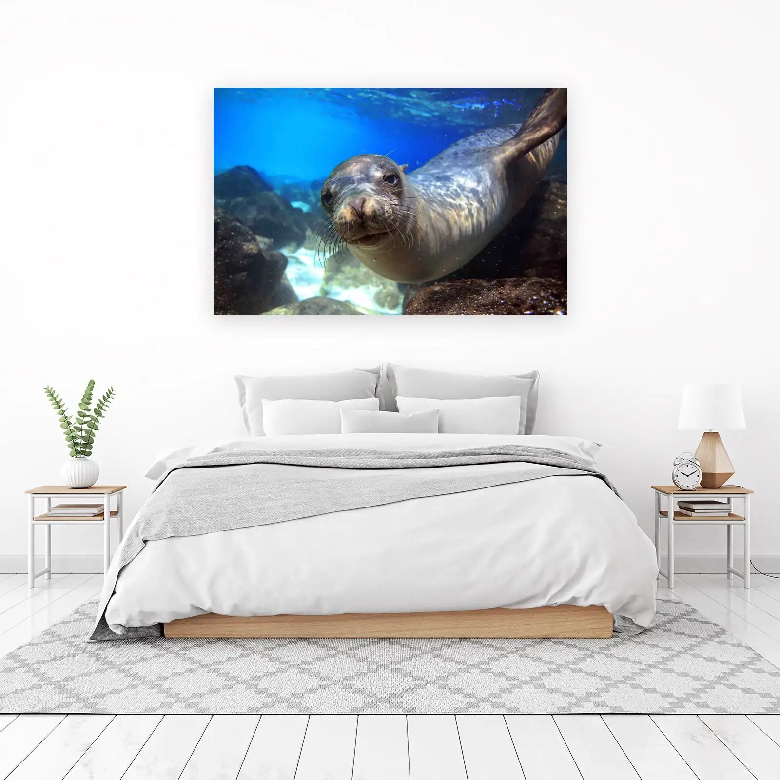 Curious Sea Lion Underwater Wall Art