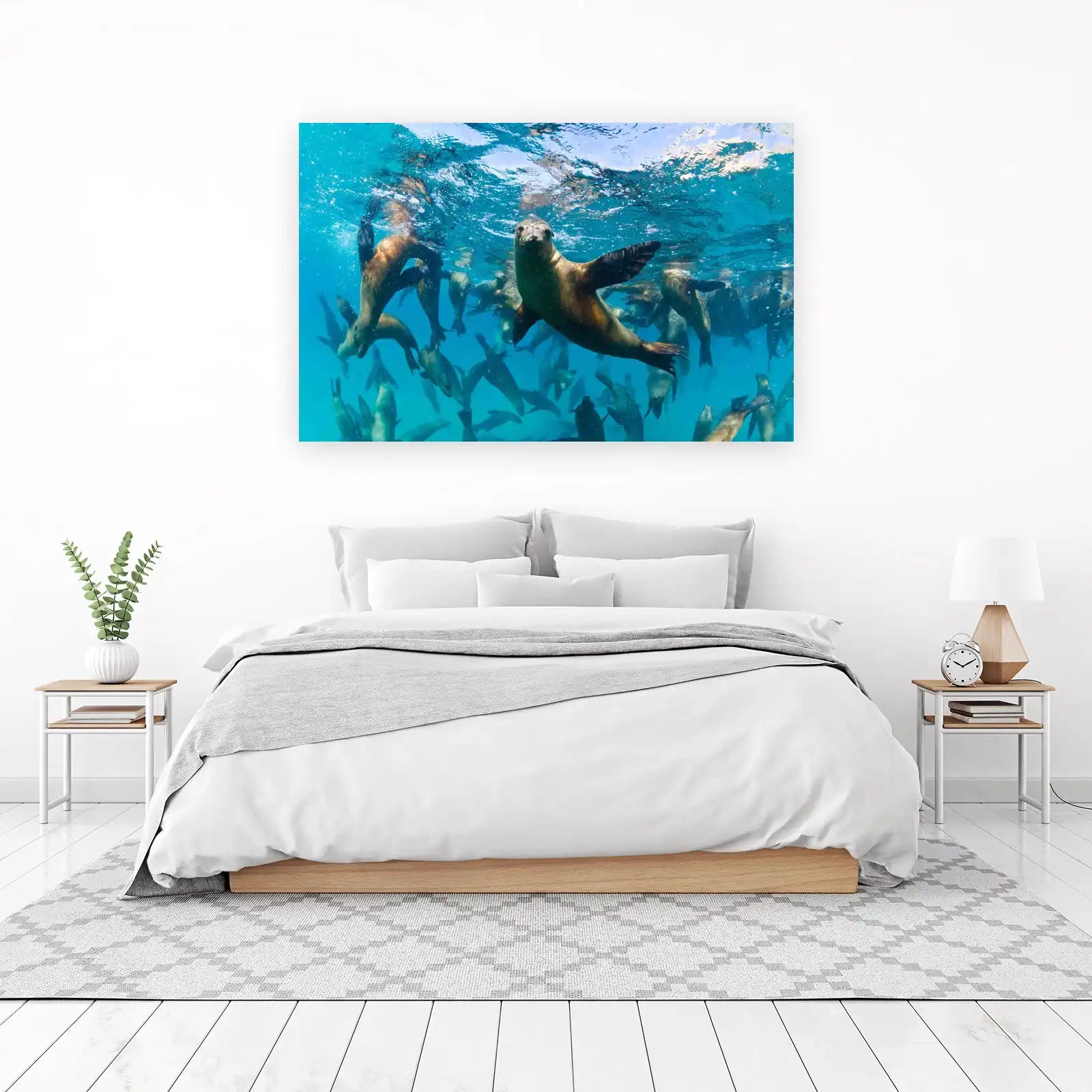 Underwater Sea Lions Galore Wall Art
