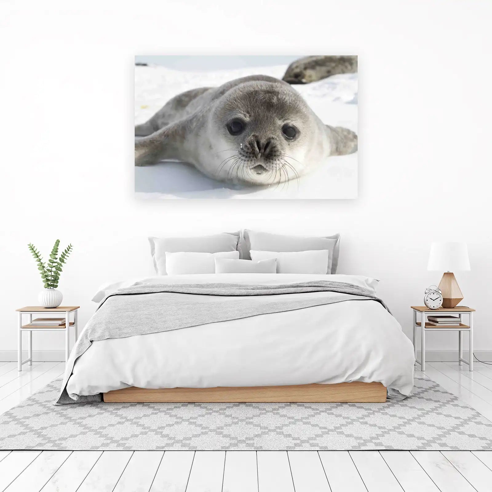 Adorable Baby Seal Close-Up Wall Art