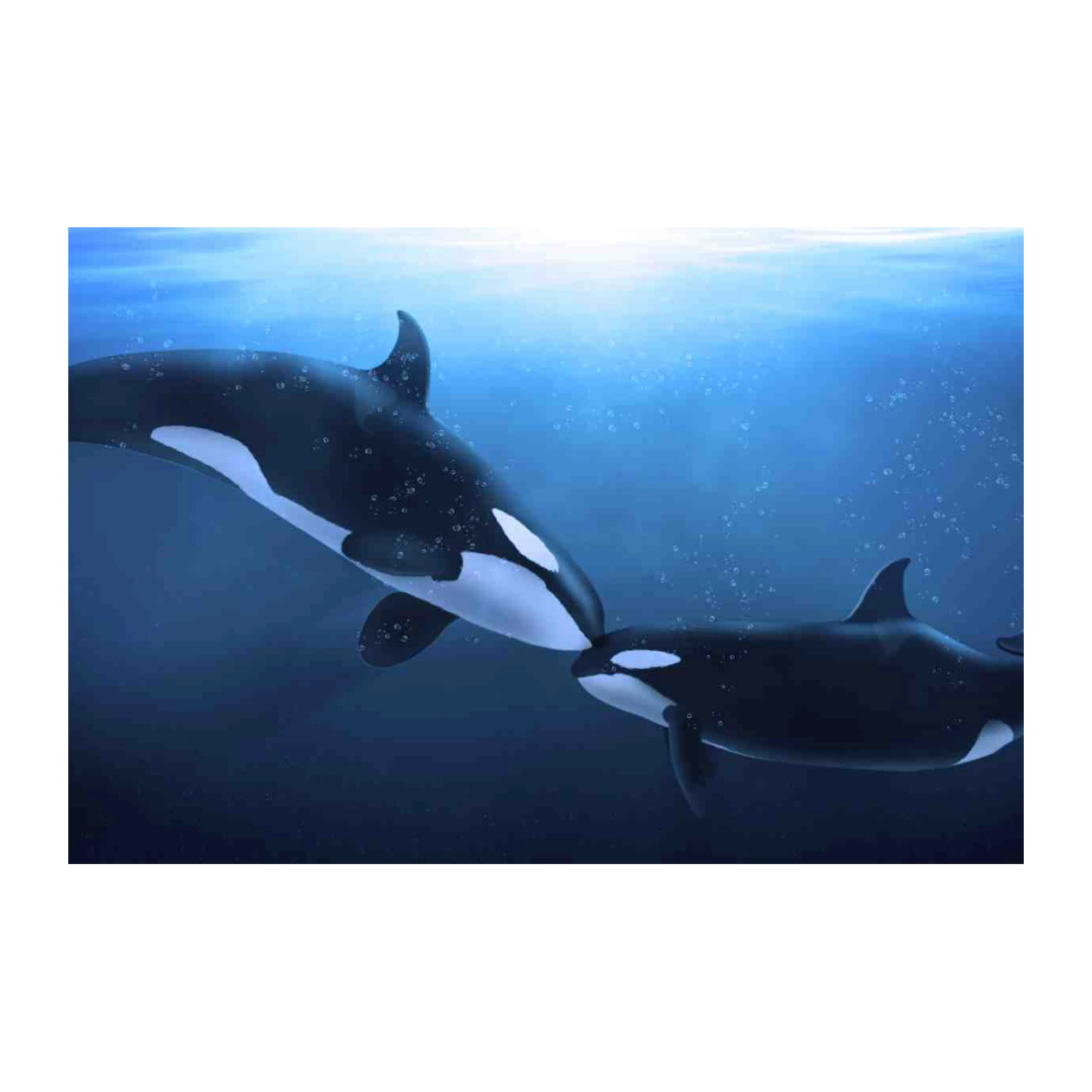 Orca Whale Ocean Serenity Wall Art