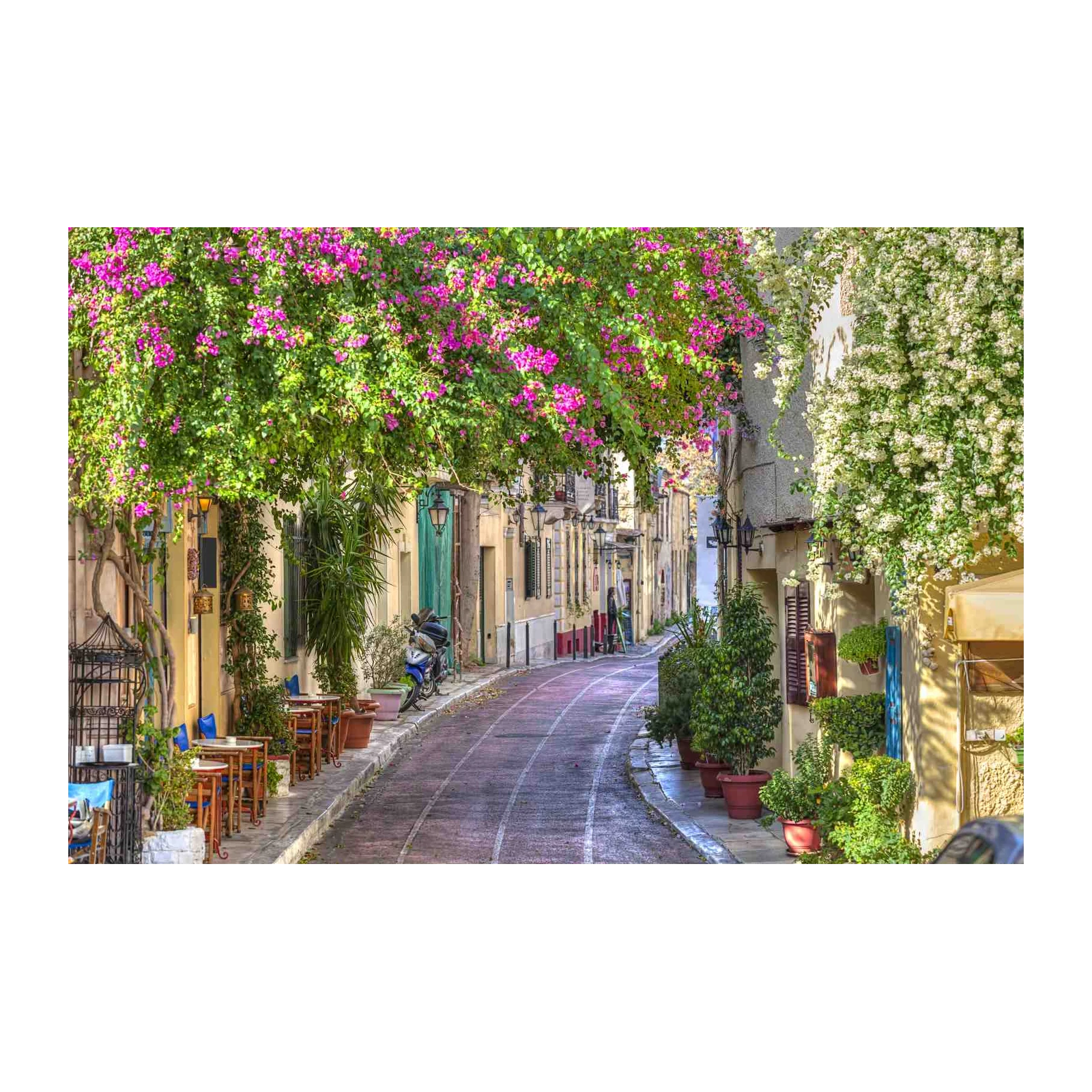 Charming Athens Street Floral Wall Art