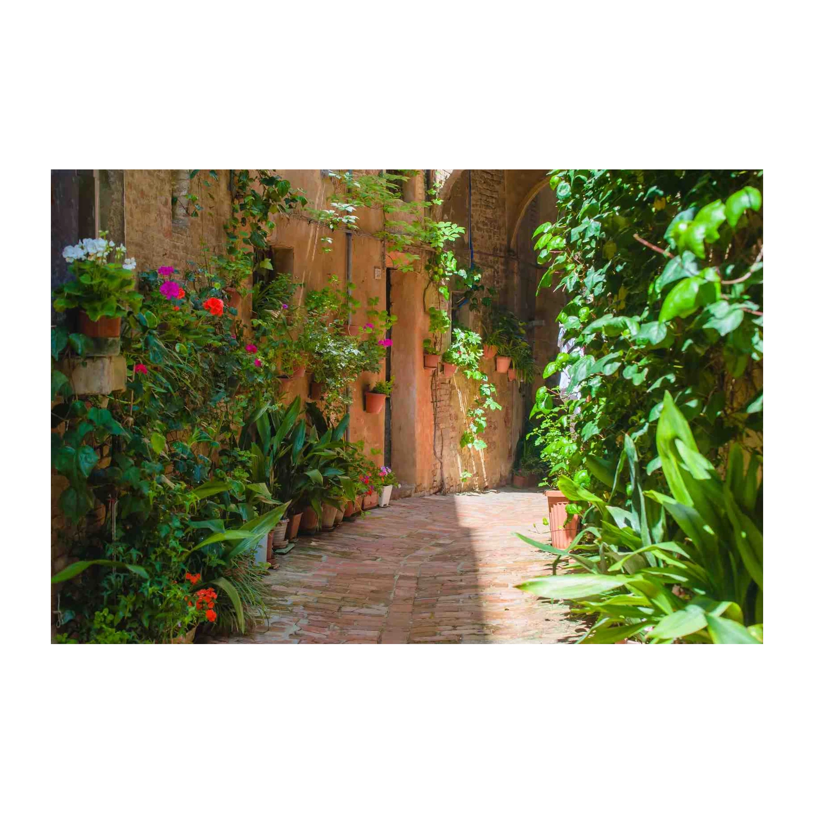 Enchanting Italian Alleyway Floral Wall Art Wall Art