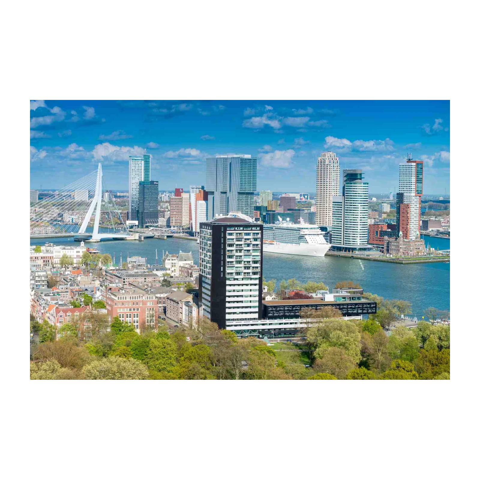 Rotterdam Cityscape Bridge & Cruise Ship Wall Art