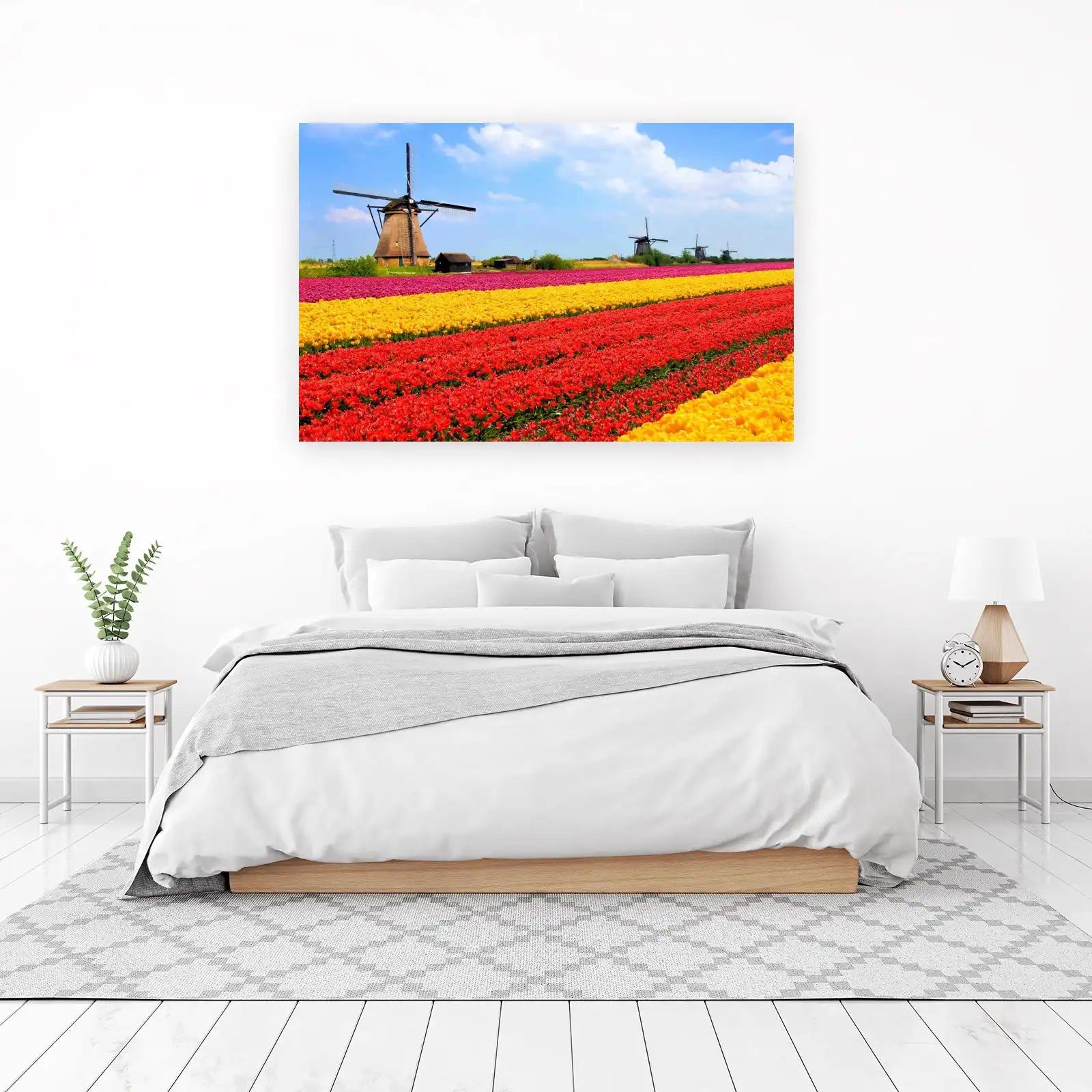 Vibrant Tulip Fields & Windmills Wall Art