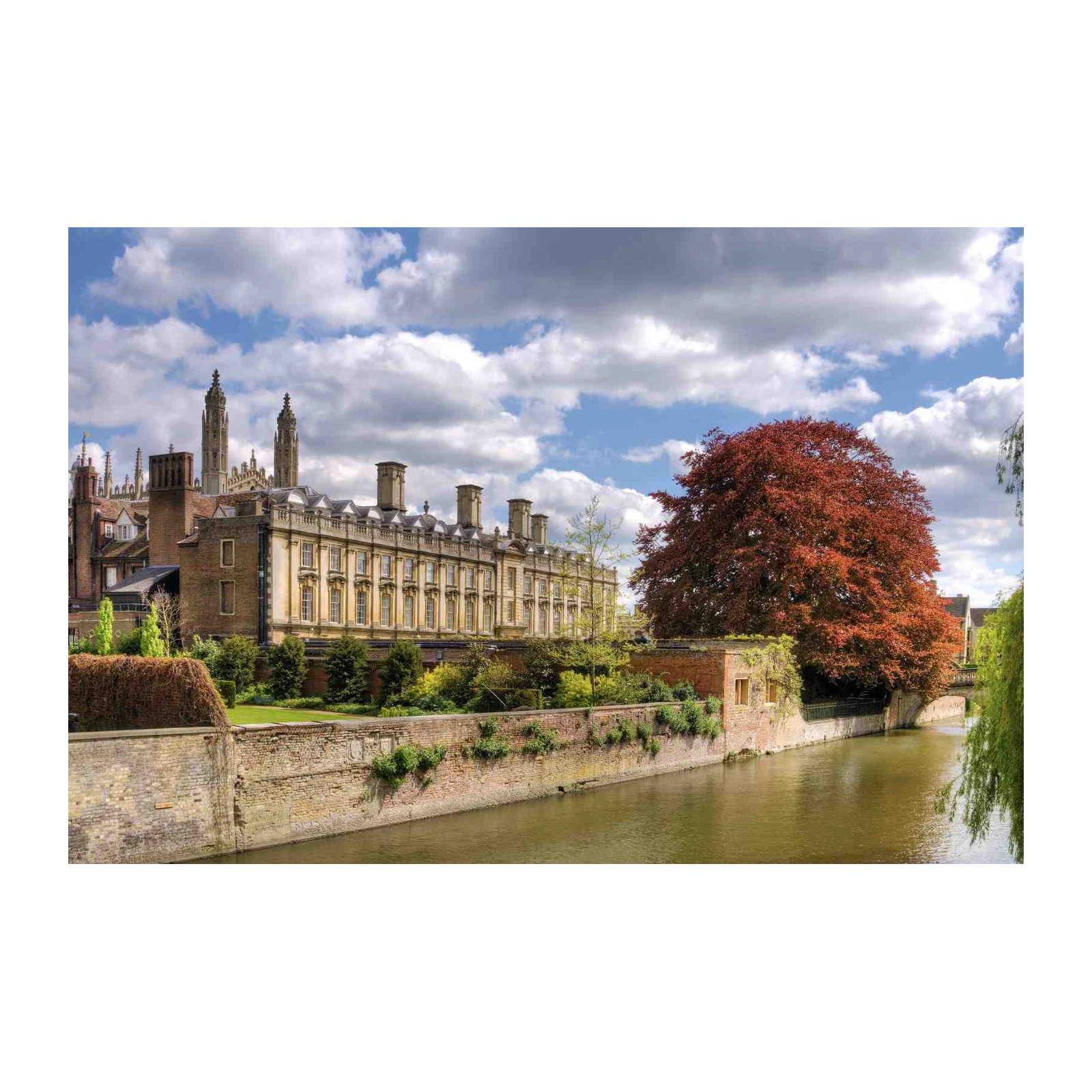 Majestic Cambridge Riverfront Red Tree Wall Art